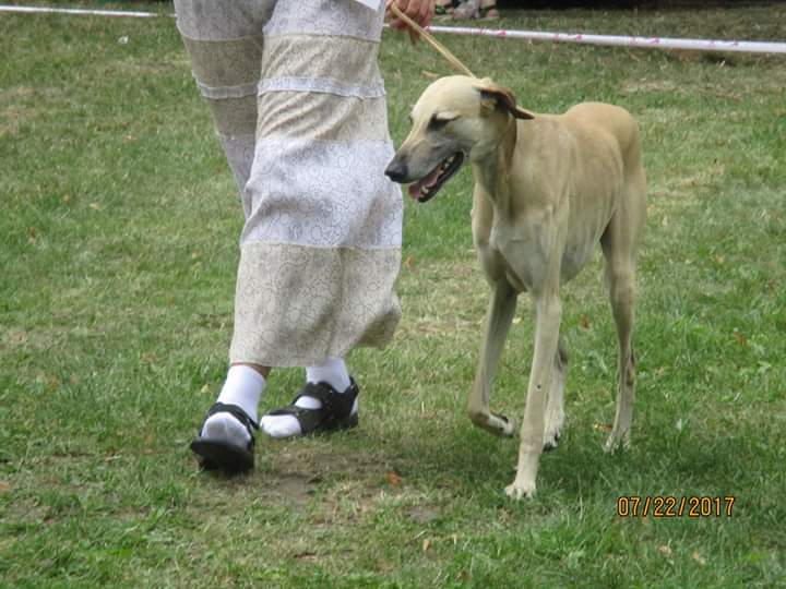 Vahab Bohemia genao