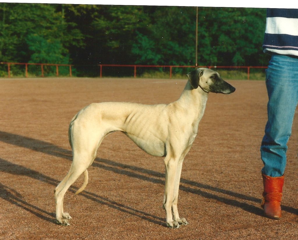 Jamuna SeS 6.5.1987, foto Schritt