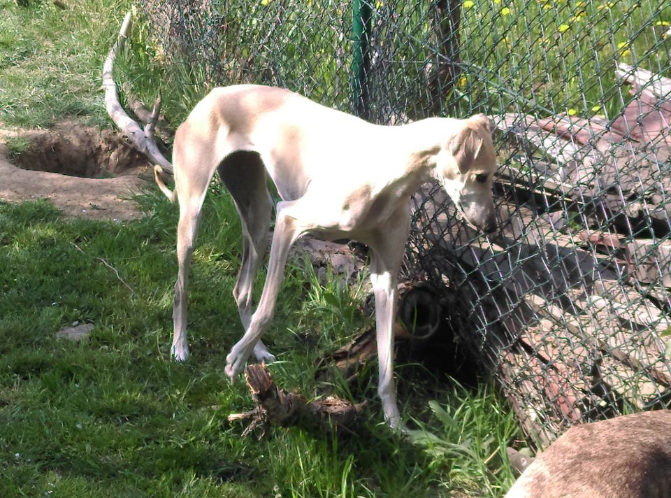 94880575_3115970631757264_78600066180317184_o