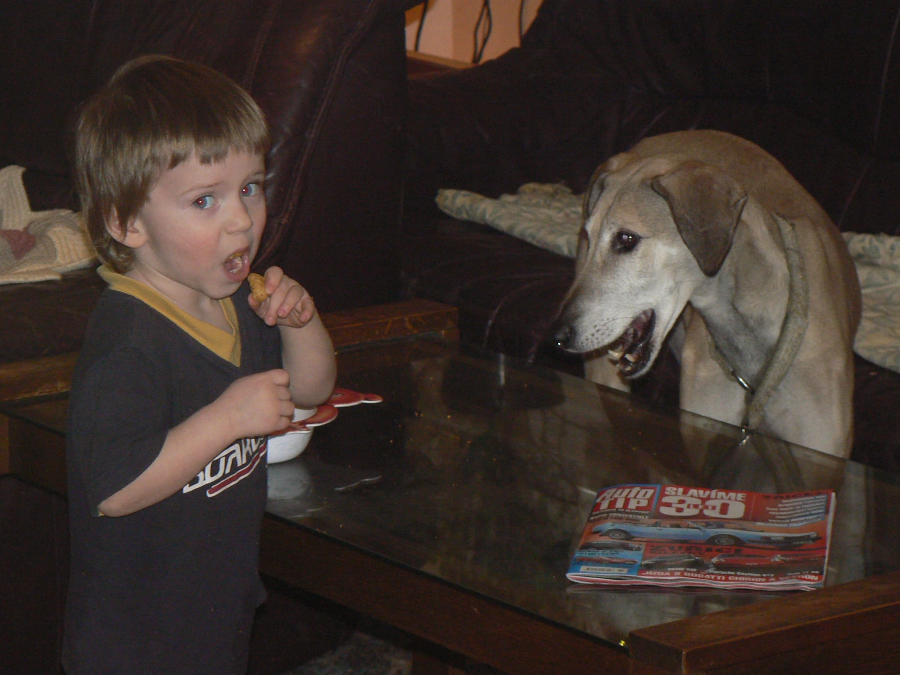 140336336_3868324913188495_6551121007420993620_o