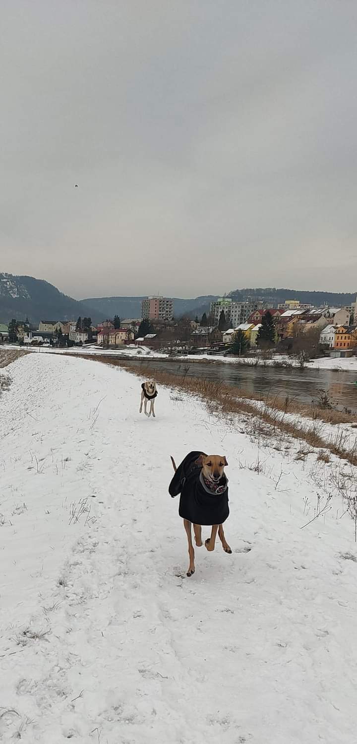 FB_IMG_1705859893739