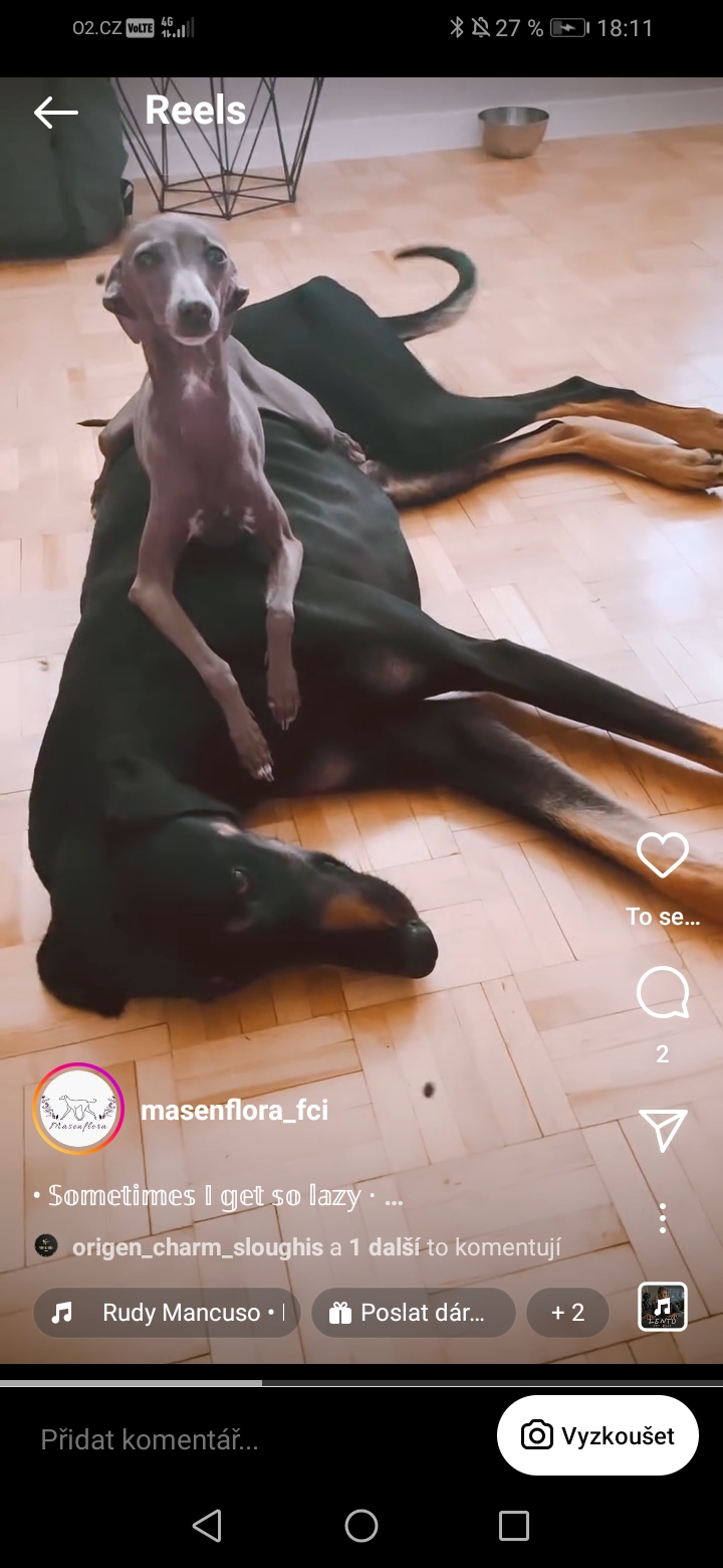 Screenshot_20240522_181129_com.instagram.android