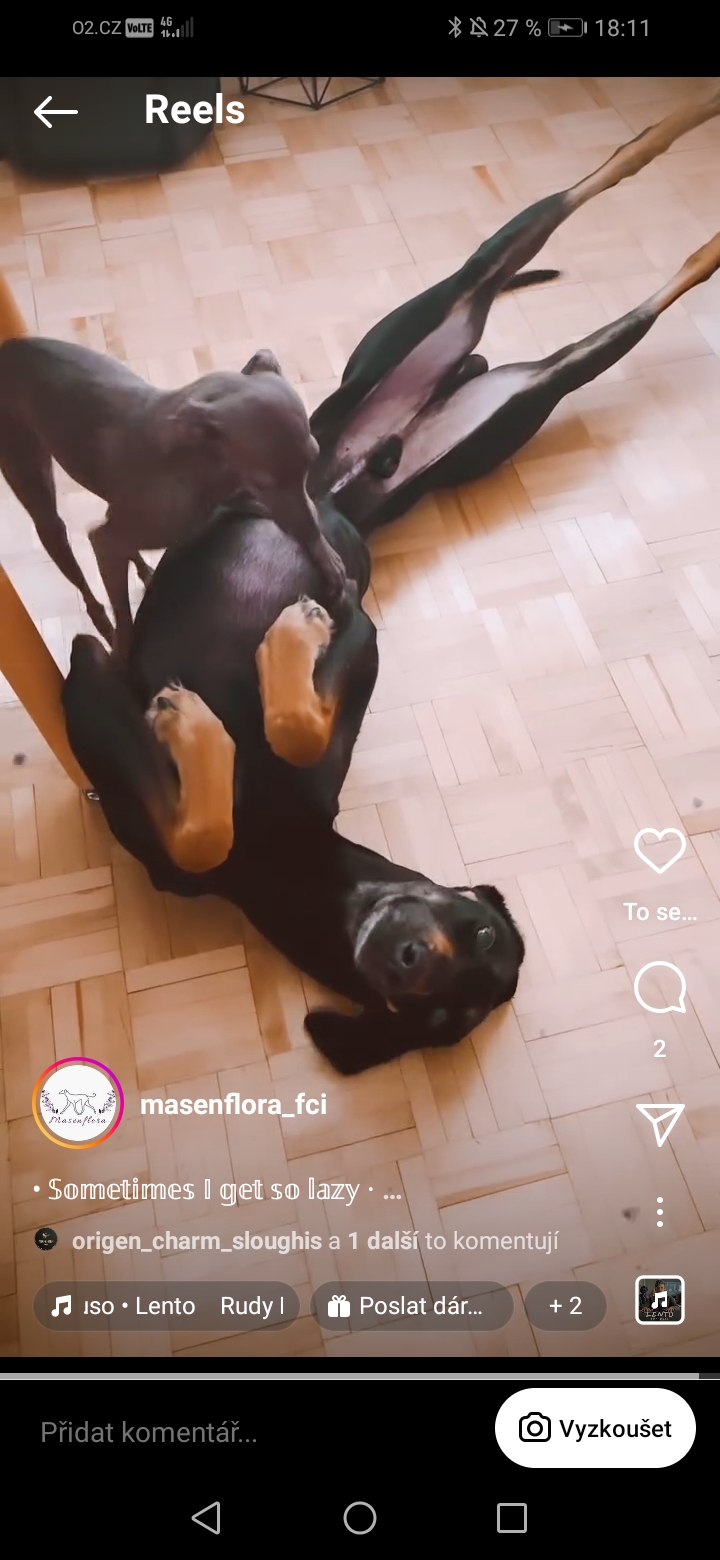 Screenshot_20240522_181139_com.instagram.android