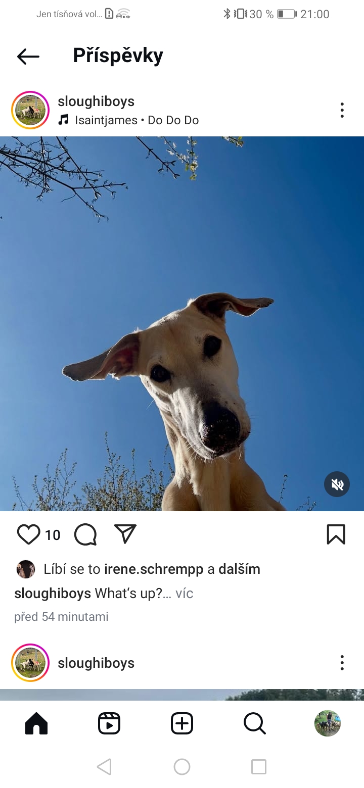 Screenshot_20250409_210043_com.instagram.android