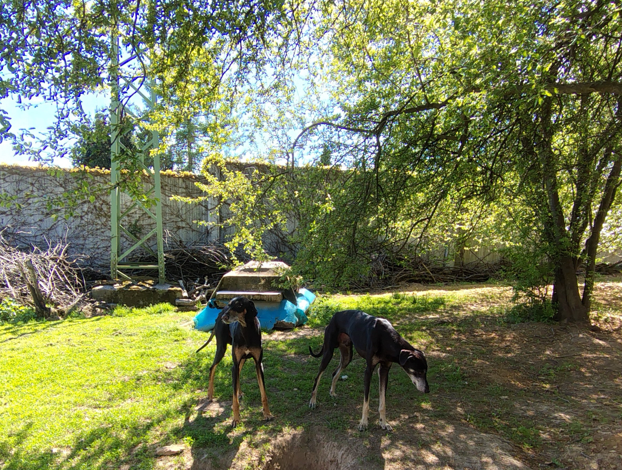 IMG_20250422_143837180_HDR