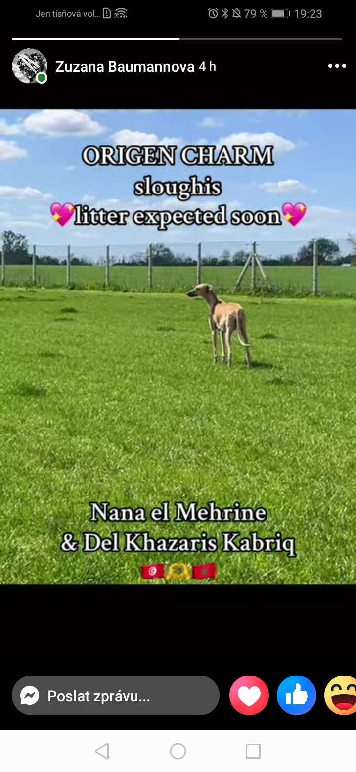 Screenshot_20250422_192344_com.facebook.katana