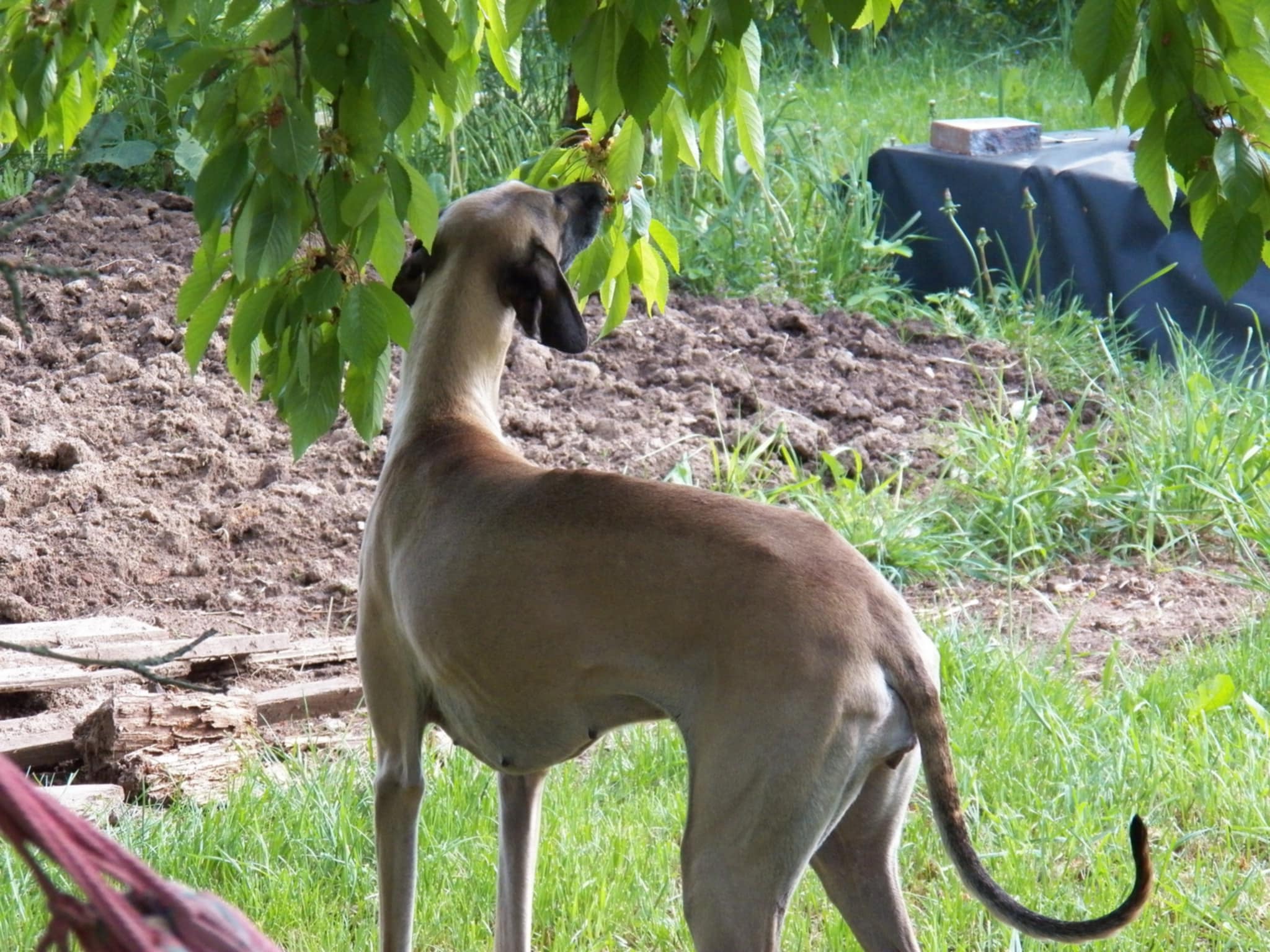 Messenger_creation_3C11CAD4-A755-4EA5-8D0D-8B2826447C9E