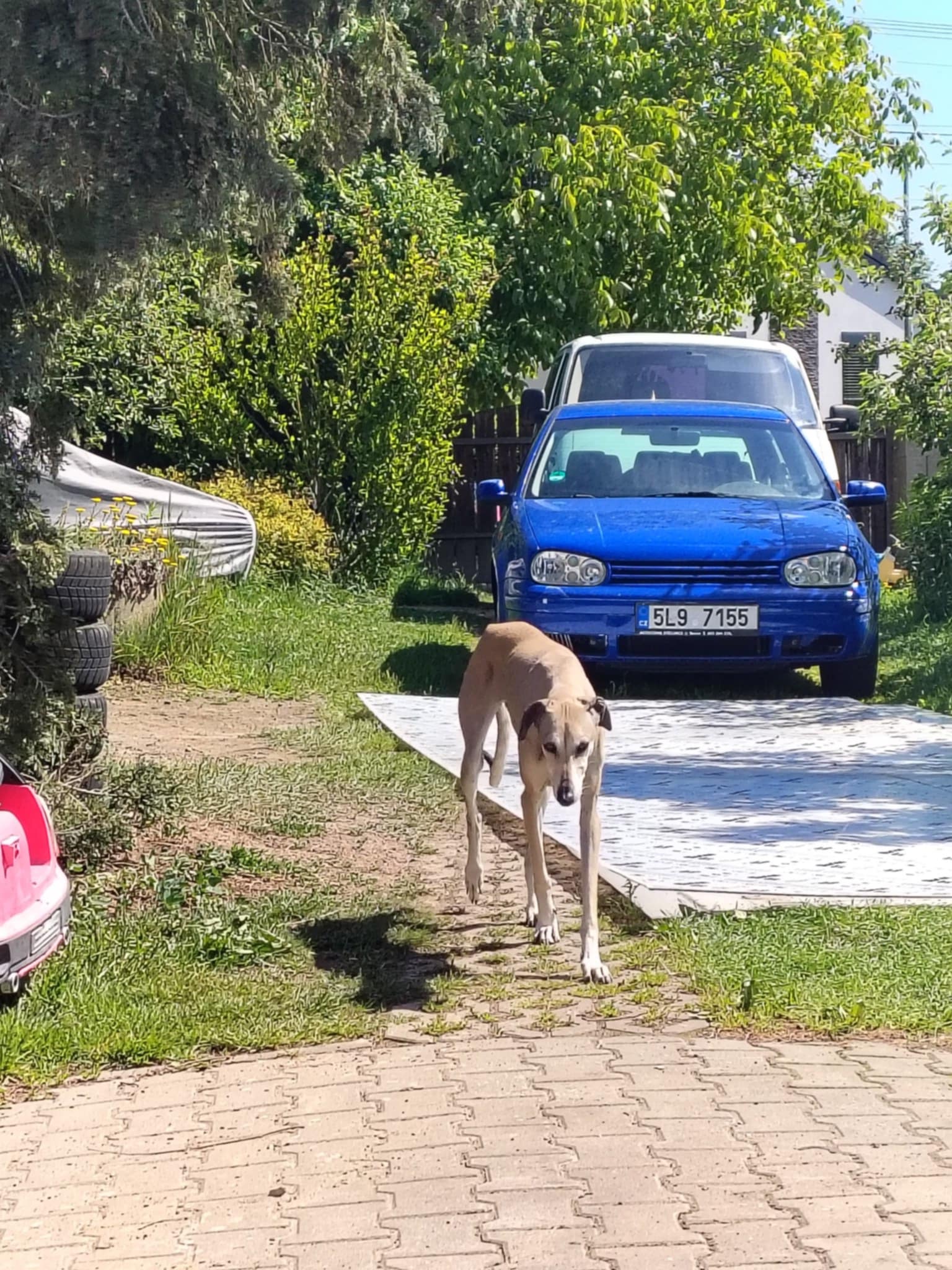 Messenger_creation_687CE2D8-4AC3-46C5-AF96-A5431C6F8DB4