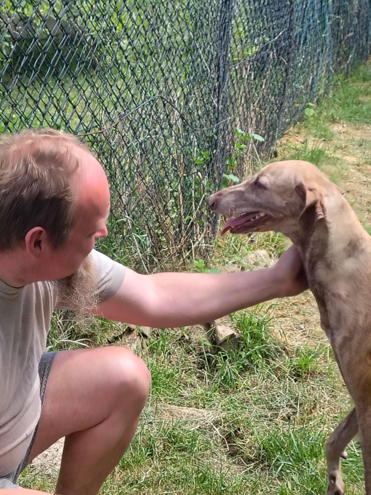 Messenger_creation_40F2AF60-7344-47E9-A424-D8A8E8EAAA0F