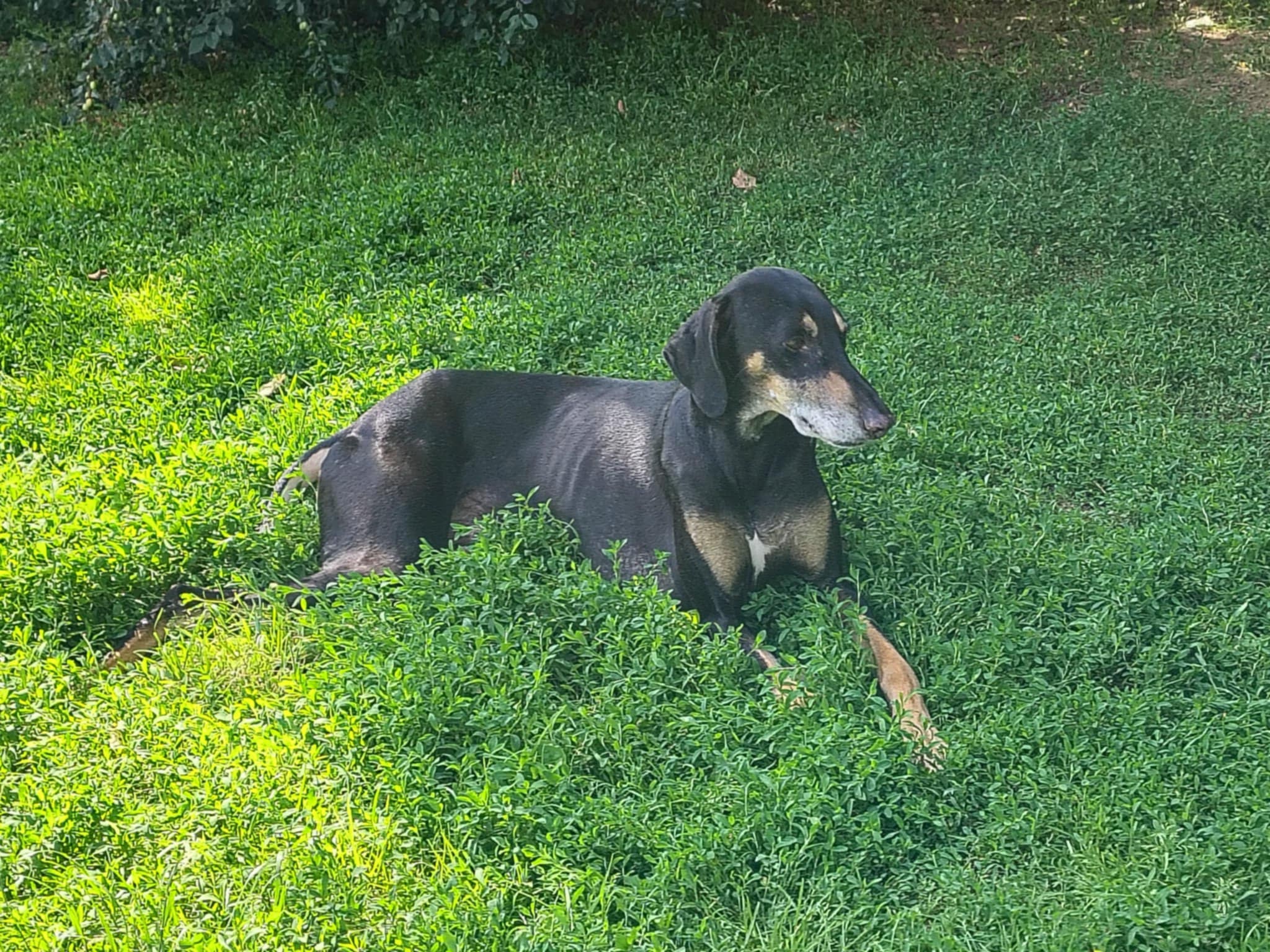 Messenger_creation_FD4E2FA6-C3FD-4497-8FBC-10DEFE83A5D4