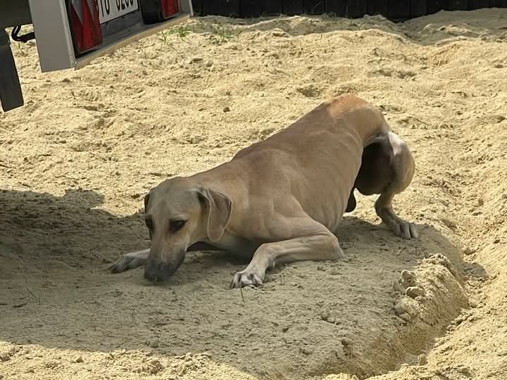 FB_IMG_1751222506784