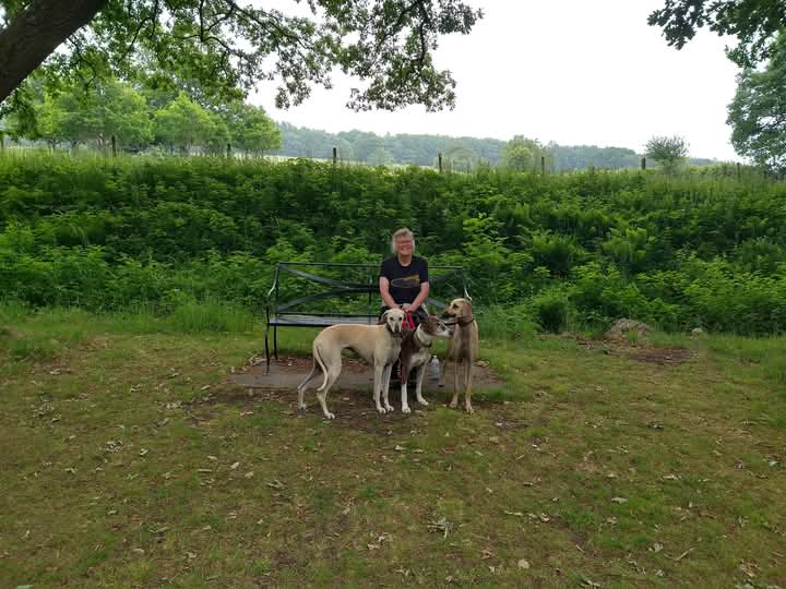 FB_IMG_1749655876496