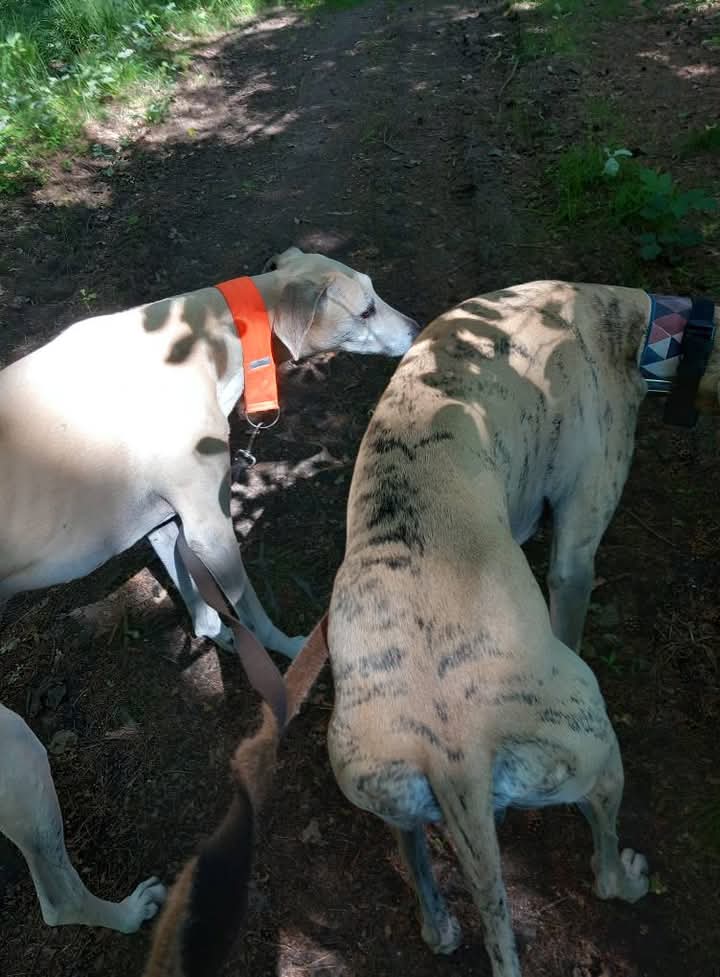 FB_IMG_1749905154365