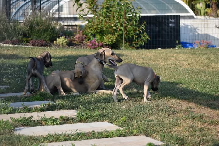 FB_IMG_1752069675678