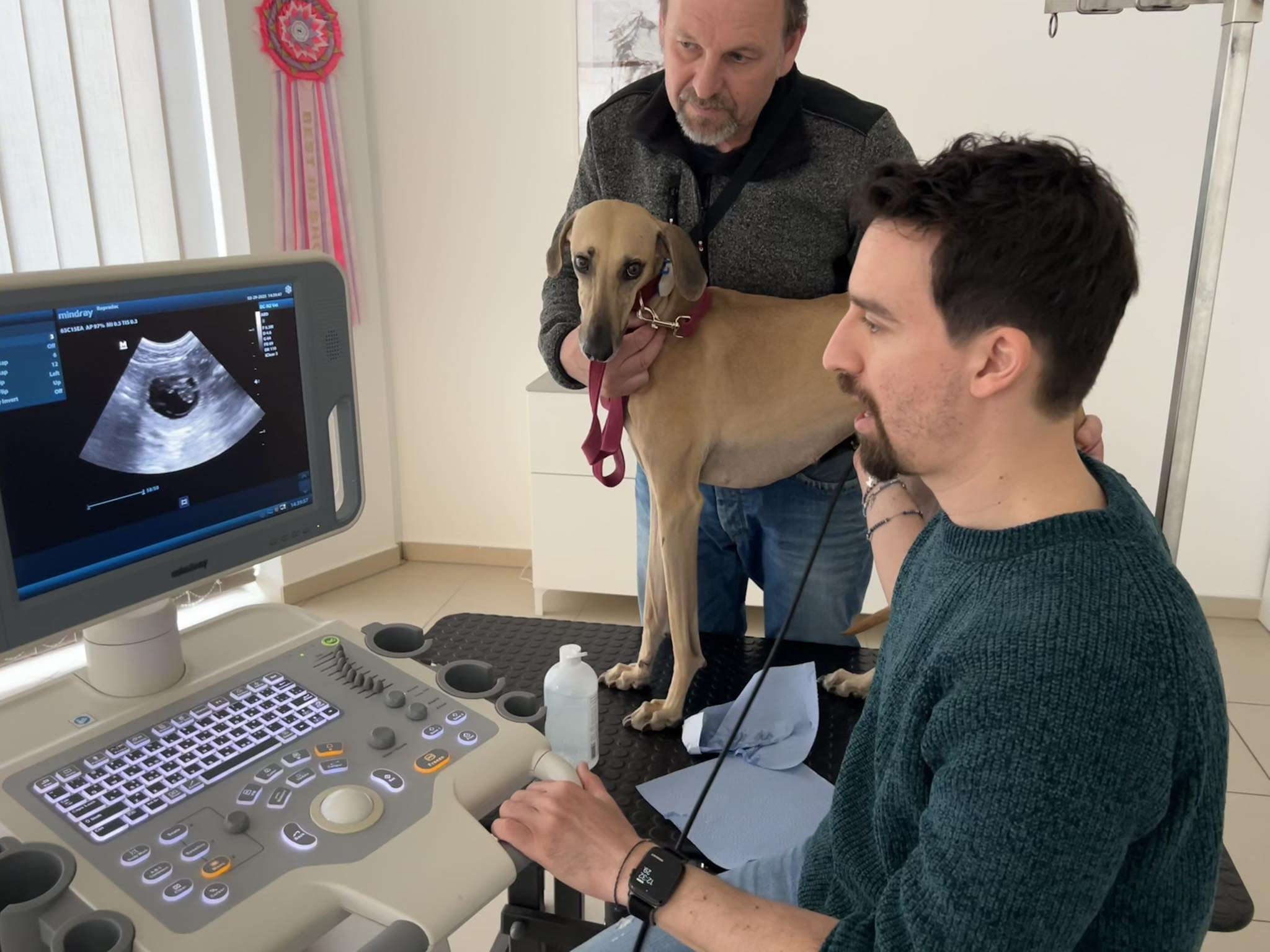 received_1306563937076753