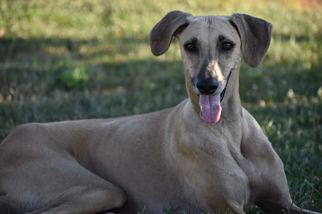 received_1299862768140301