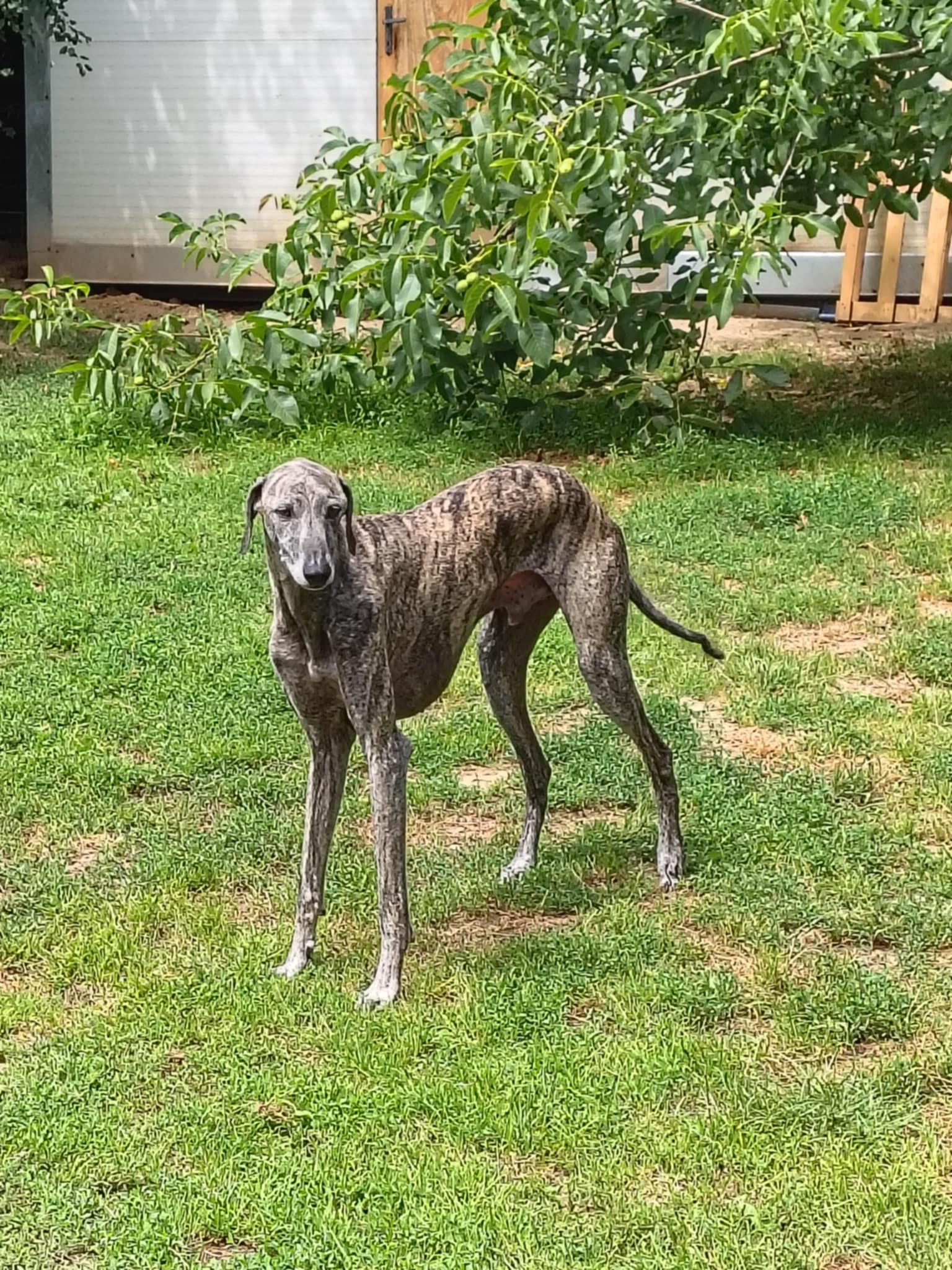 Messenger_creation_245FE5CC-35D0-48EF-9FFB-BF5FE0CD7337