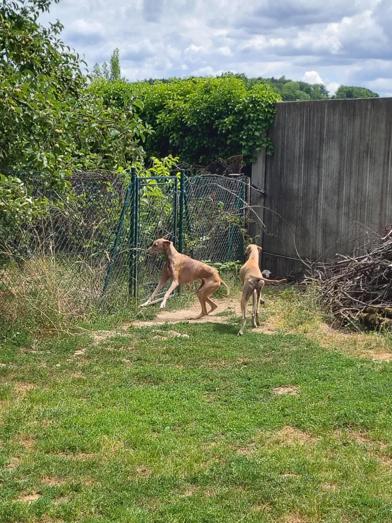 Messenger_creation_13E2E814-5B26-45F1-959E-3A5EF0CBB222