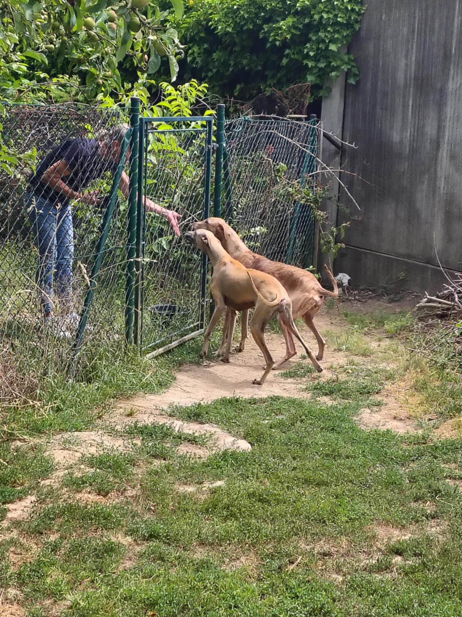 Messenger_creation_06896B74-9EBF-4A79-931B-06E4E28E9945