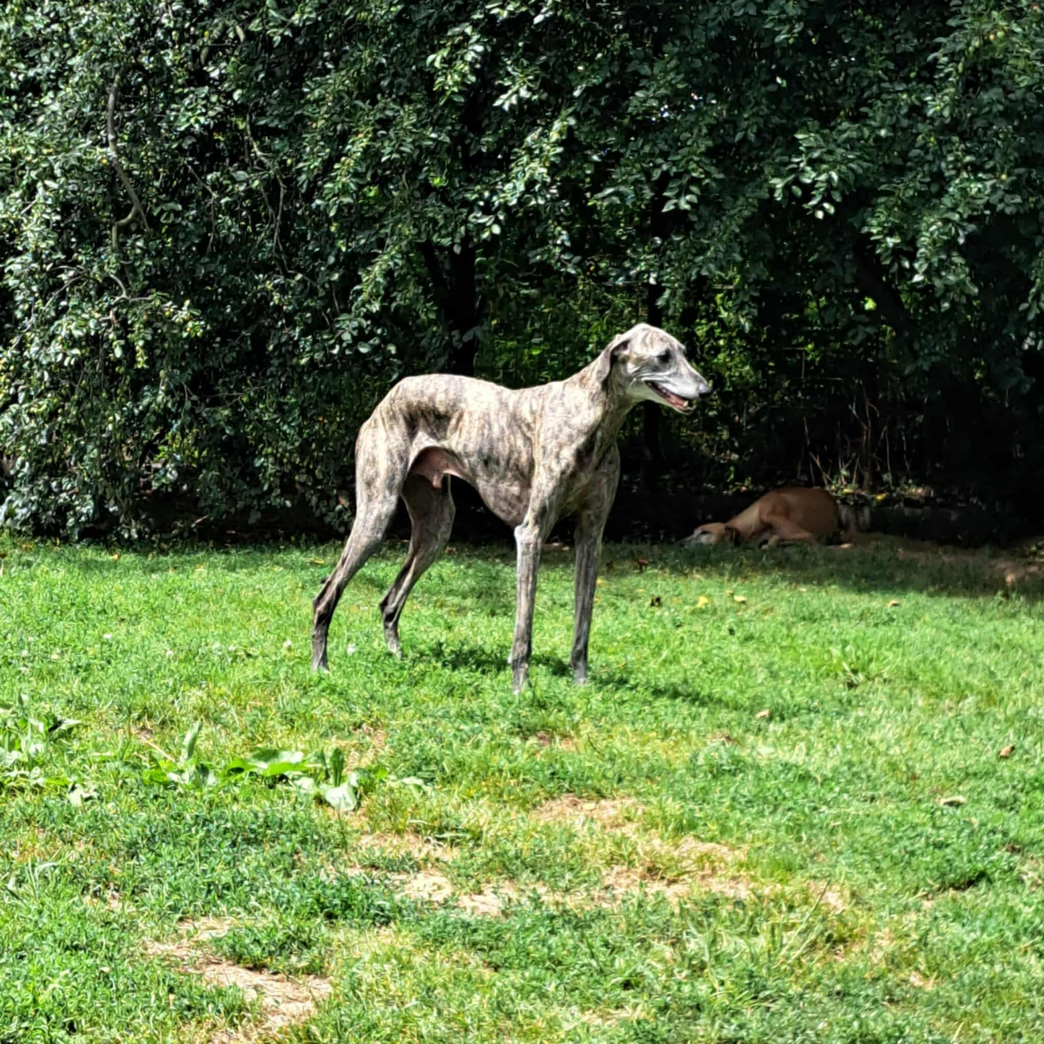 Messenger_creation_A9648D3A-BE40-454C-8D07-2F7A984EB5AD