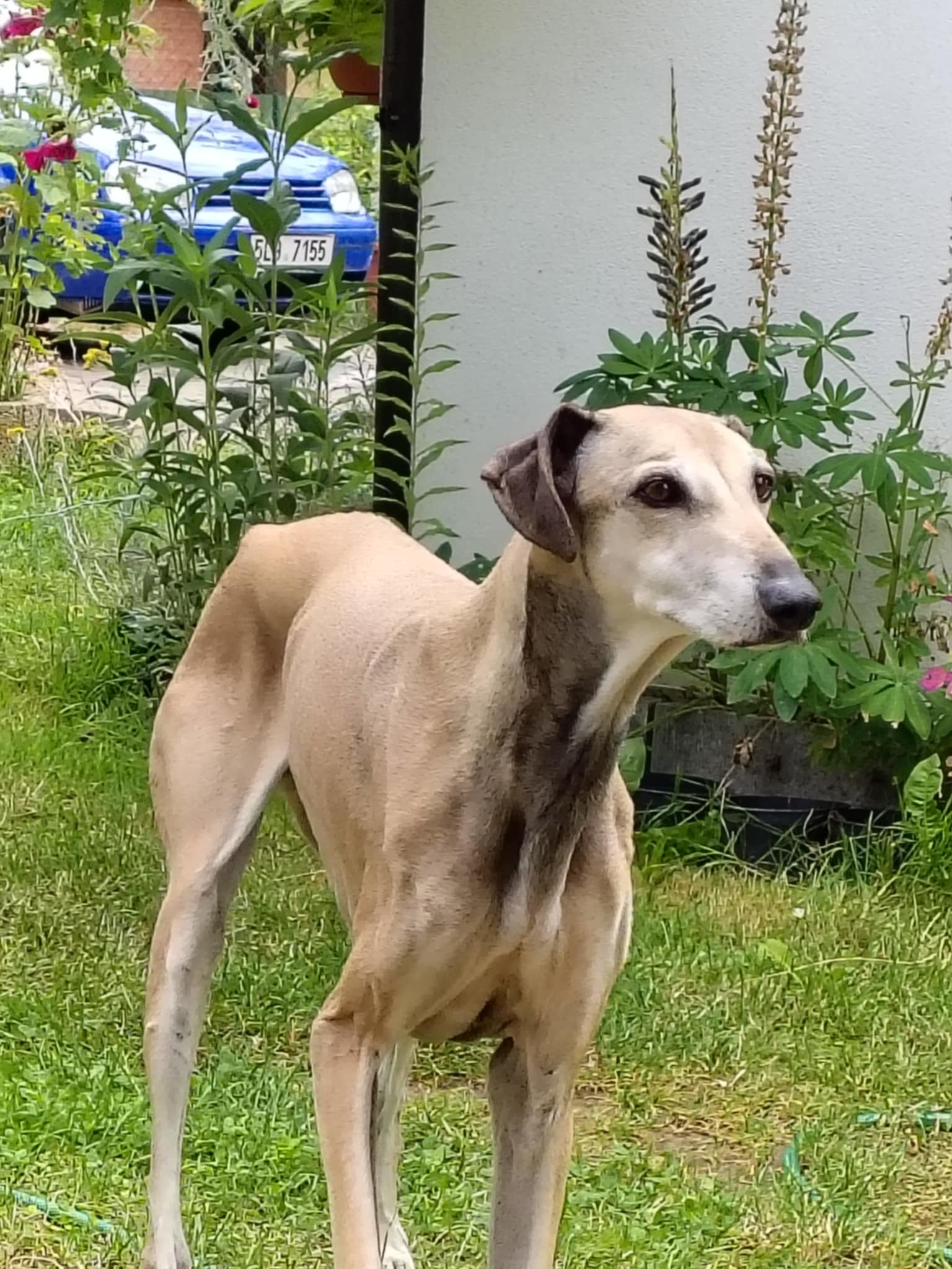 Messenger_creation_CCC7C890-D755-463E-8F8C-8B904304BDBB