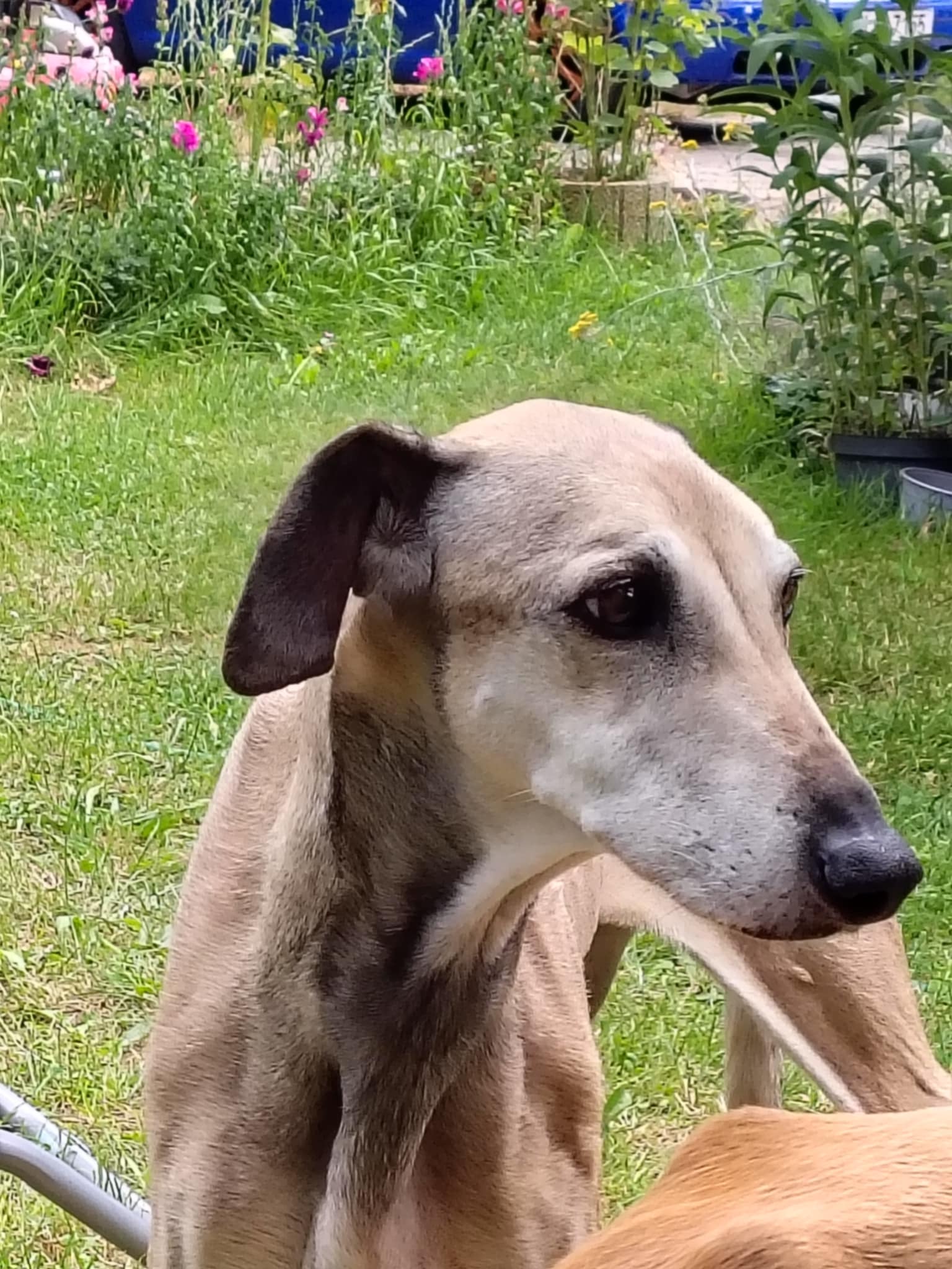 Messenger_creation_CE4D0ECB-F170-493F-8ECD-53E021E4C012