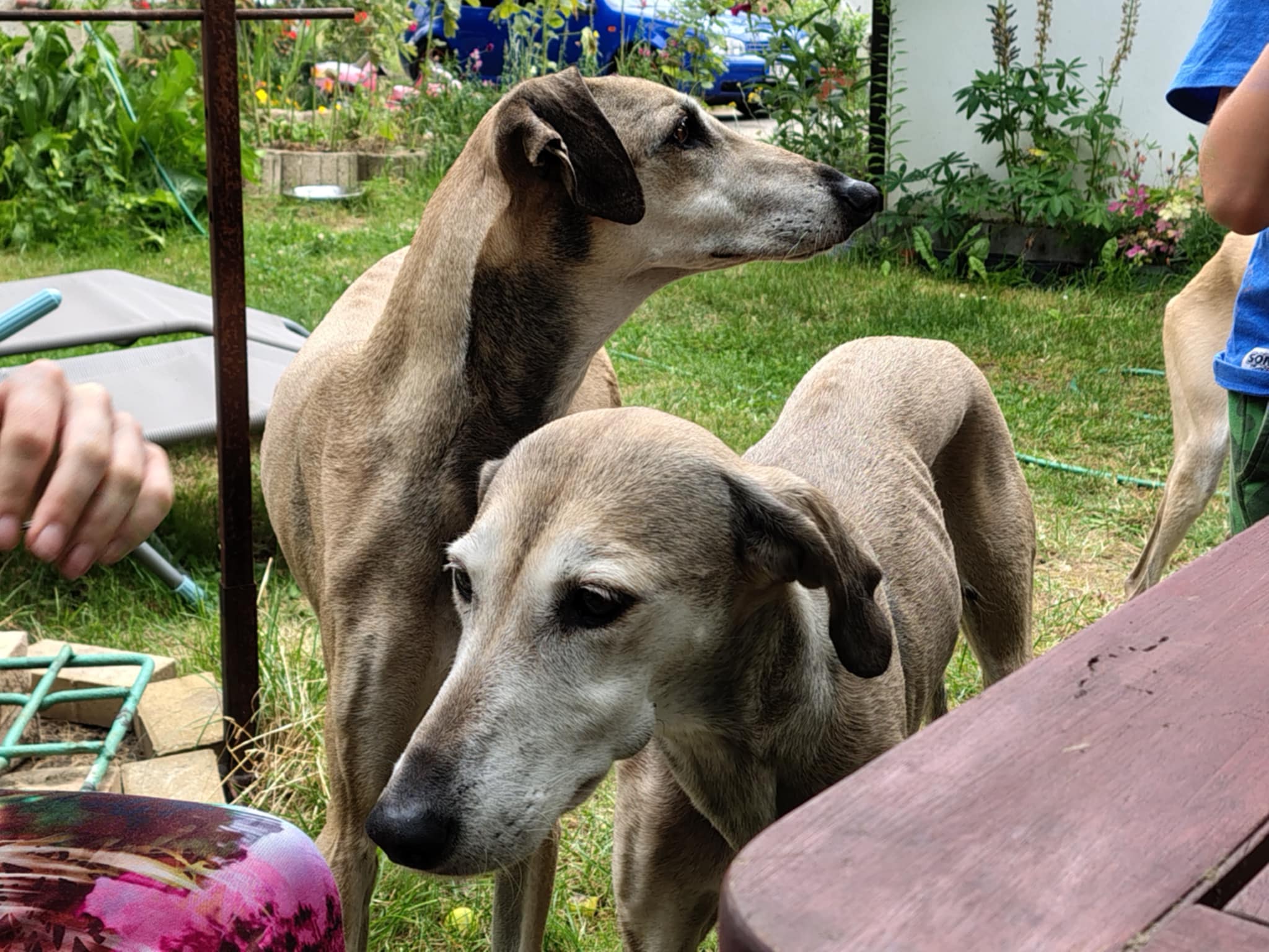 Messenger_creation_0299BBBD-DF20-4CBF-AF04-A09A98A98679