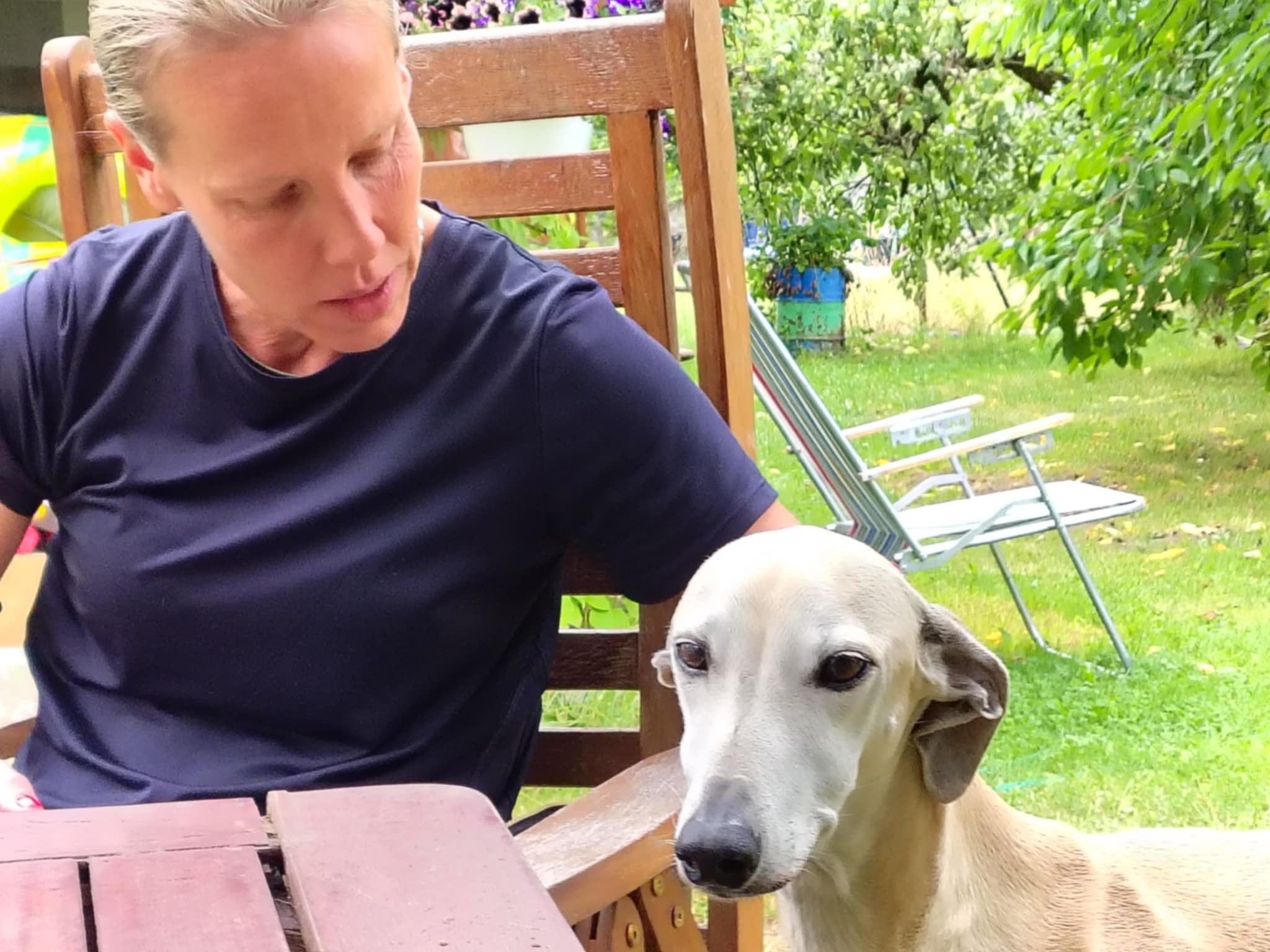 Messenger_creation_83CDDE2A-F769-4A6C-AE18-E65FD24E8932