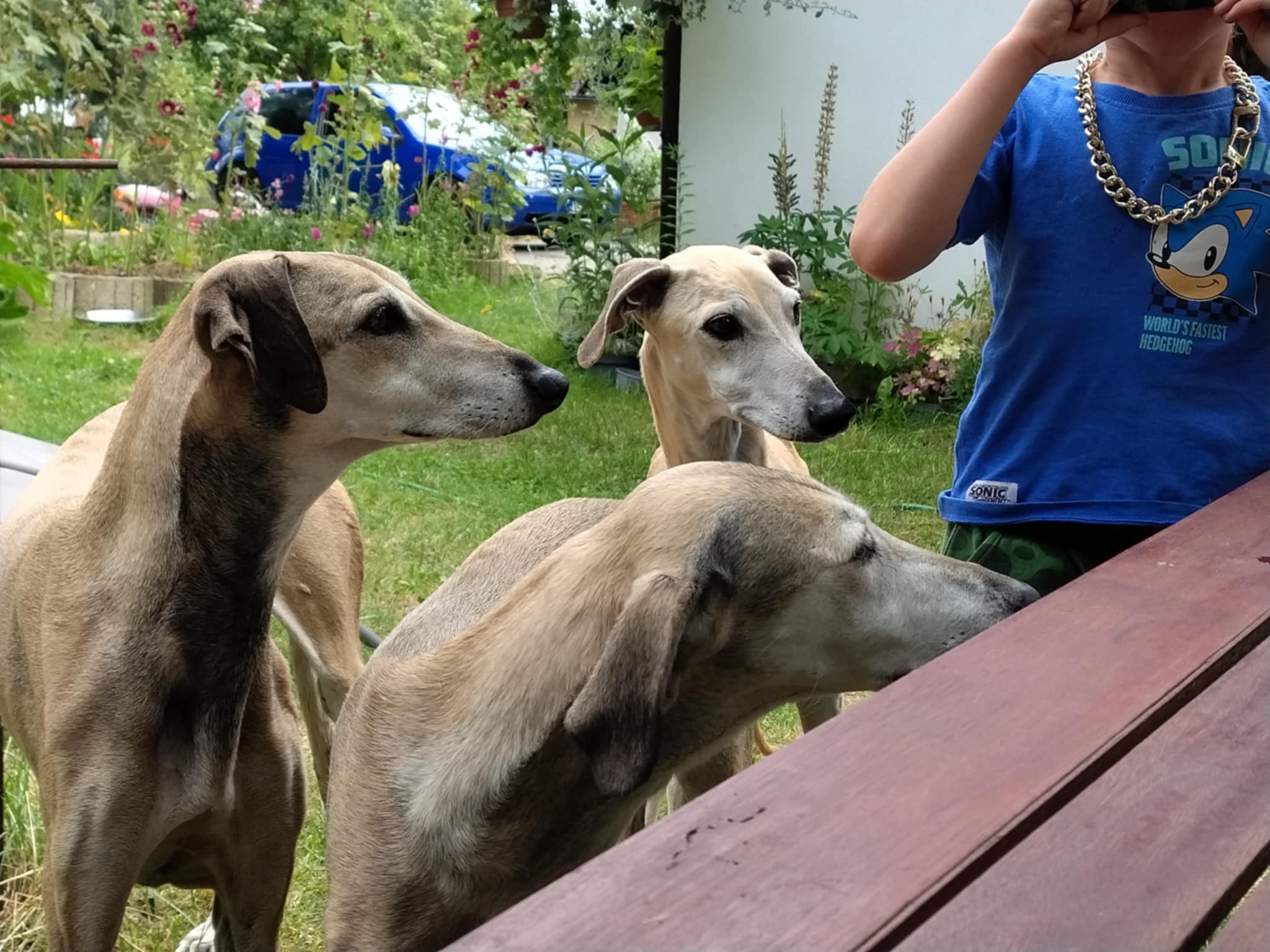 Messenger_creation_93136DAE-96D4-4D83-9313-0A168768D90E