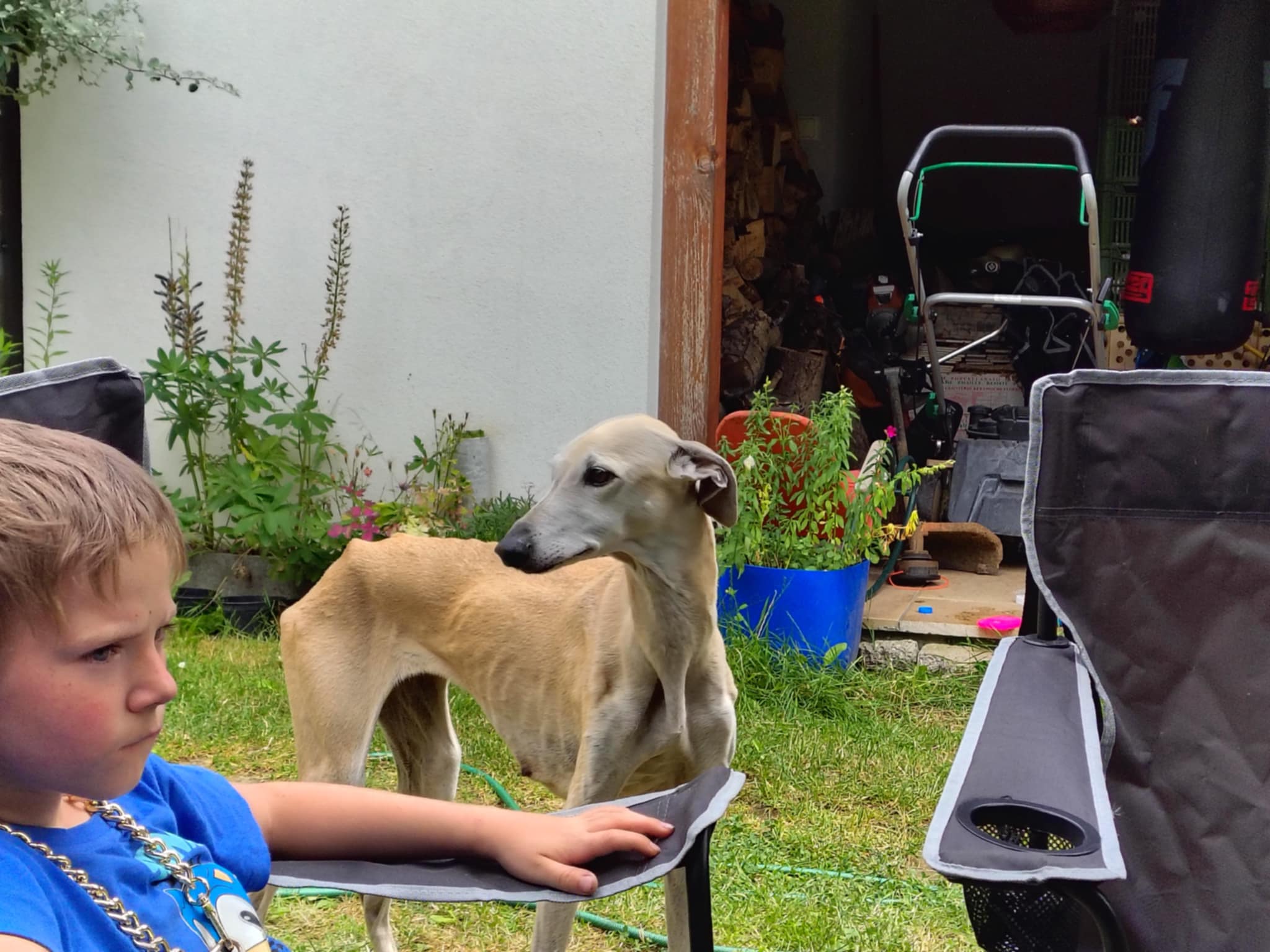 Messenger_creation_57BCE545-0461-485C-9E4A-5CFAFB2738D7