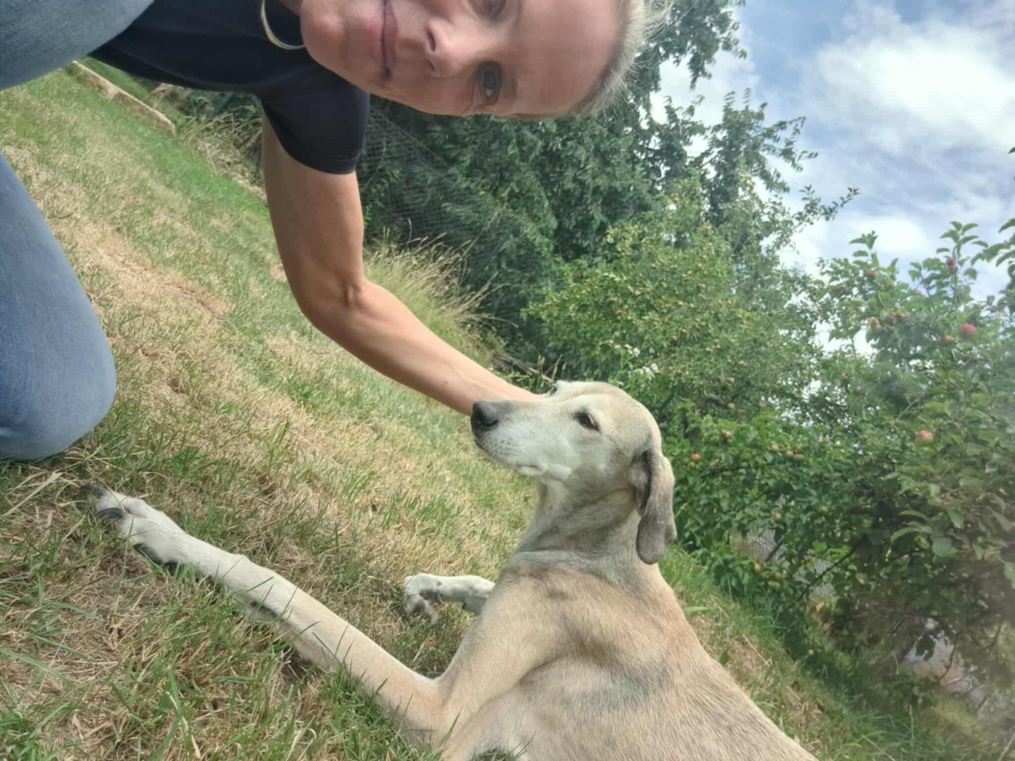 Messenger_creation_B5BBDE4E-764A-4DE5-A33C-82485B7097C1