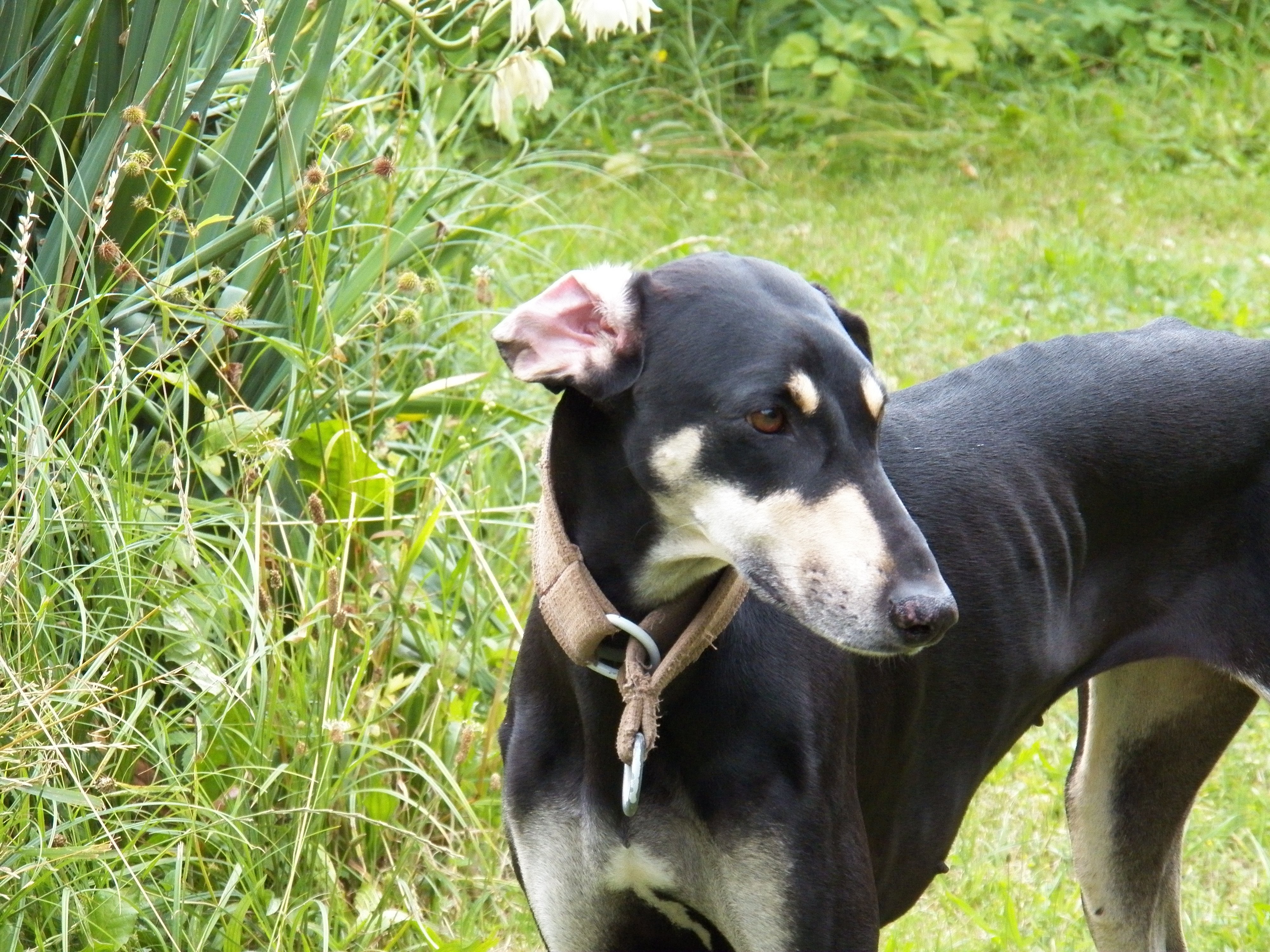 Messenger_creation_ADB47BBA-DD1D-4096-886A-A11D69190D5F