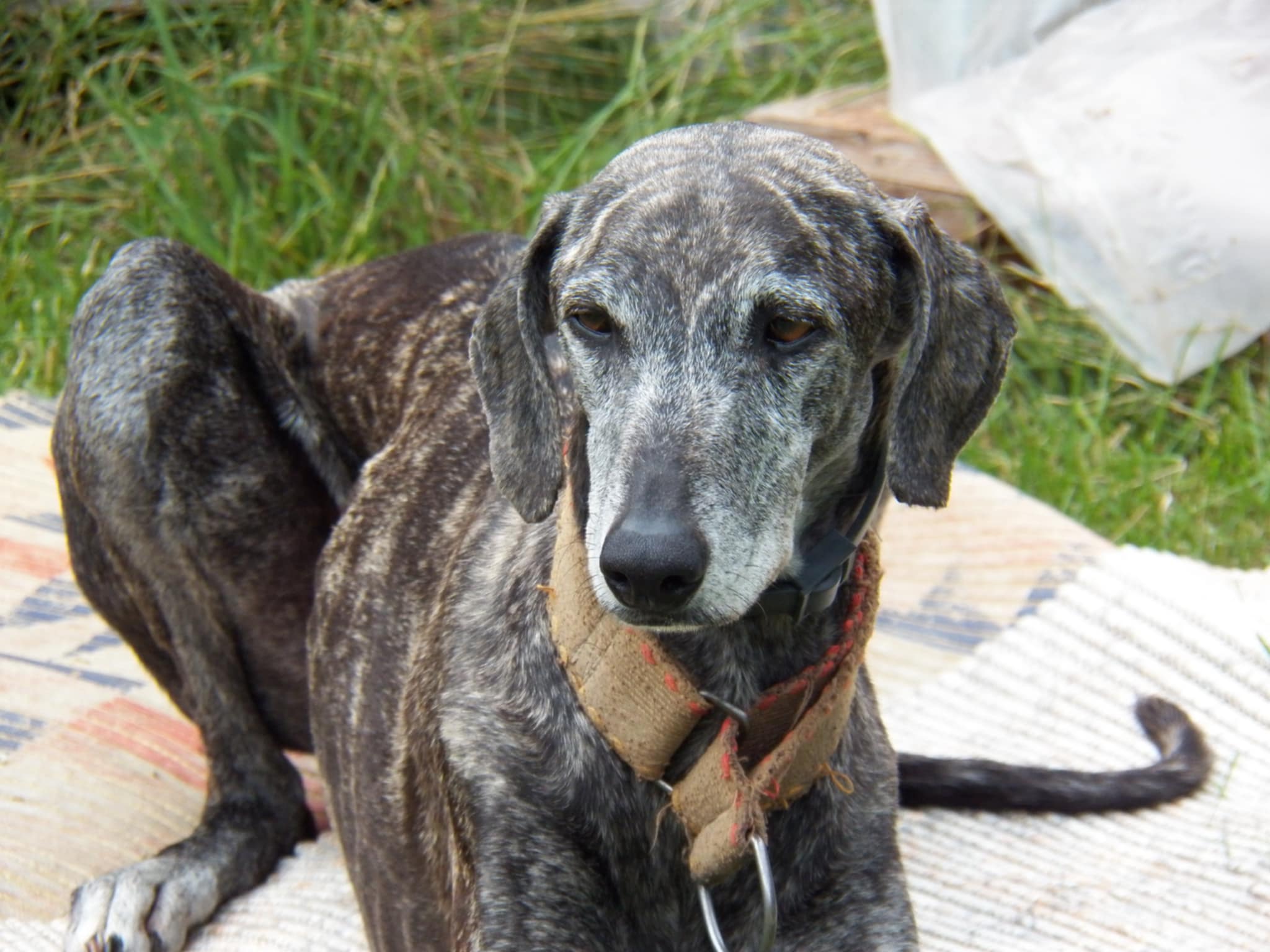 Messenger_creation_3FAA33E5-68C5-47C4-902C-2CB0C04B042C