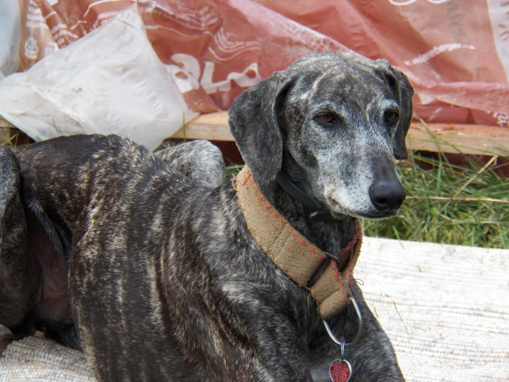 Messenger_creation_F15F36D6-AD67-43AB-B584-6692A062C4D5