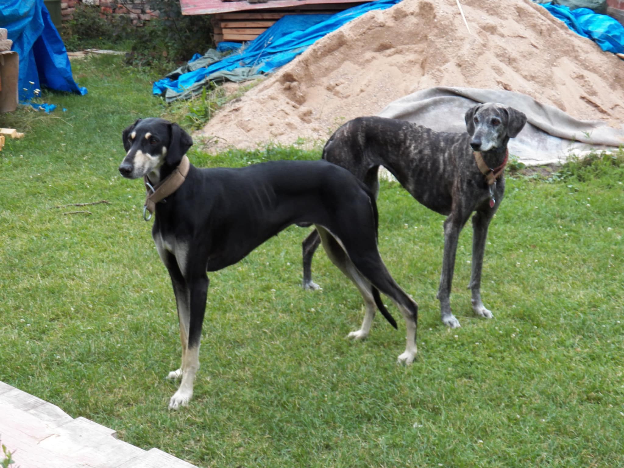 Messenger_creation_D8EB80F9-4E39-4A63-9AAE-D06E940E642C