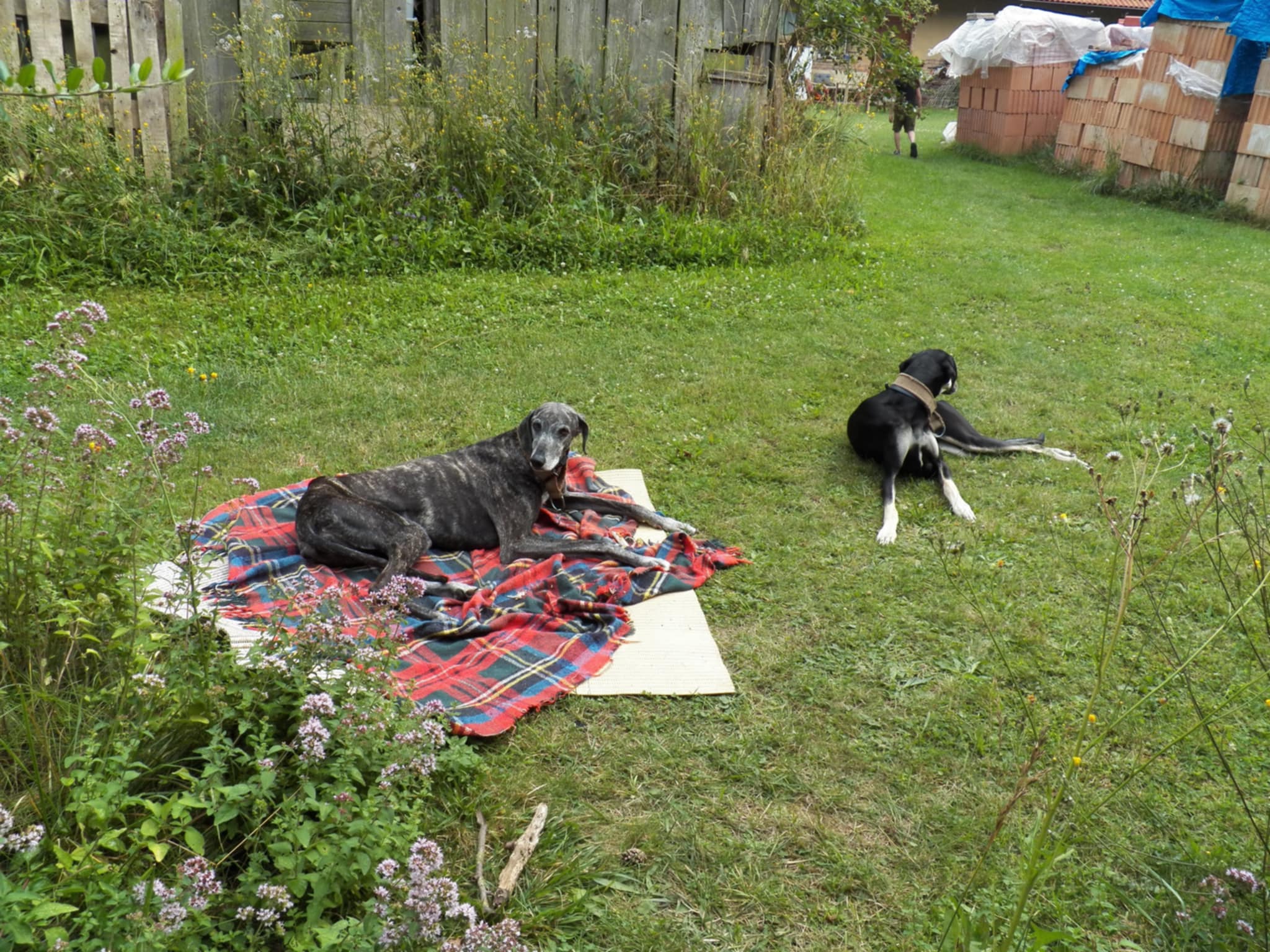 Messenger_creation_A6EC013B-D878-4F67-93C7-88E7C686E54C