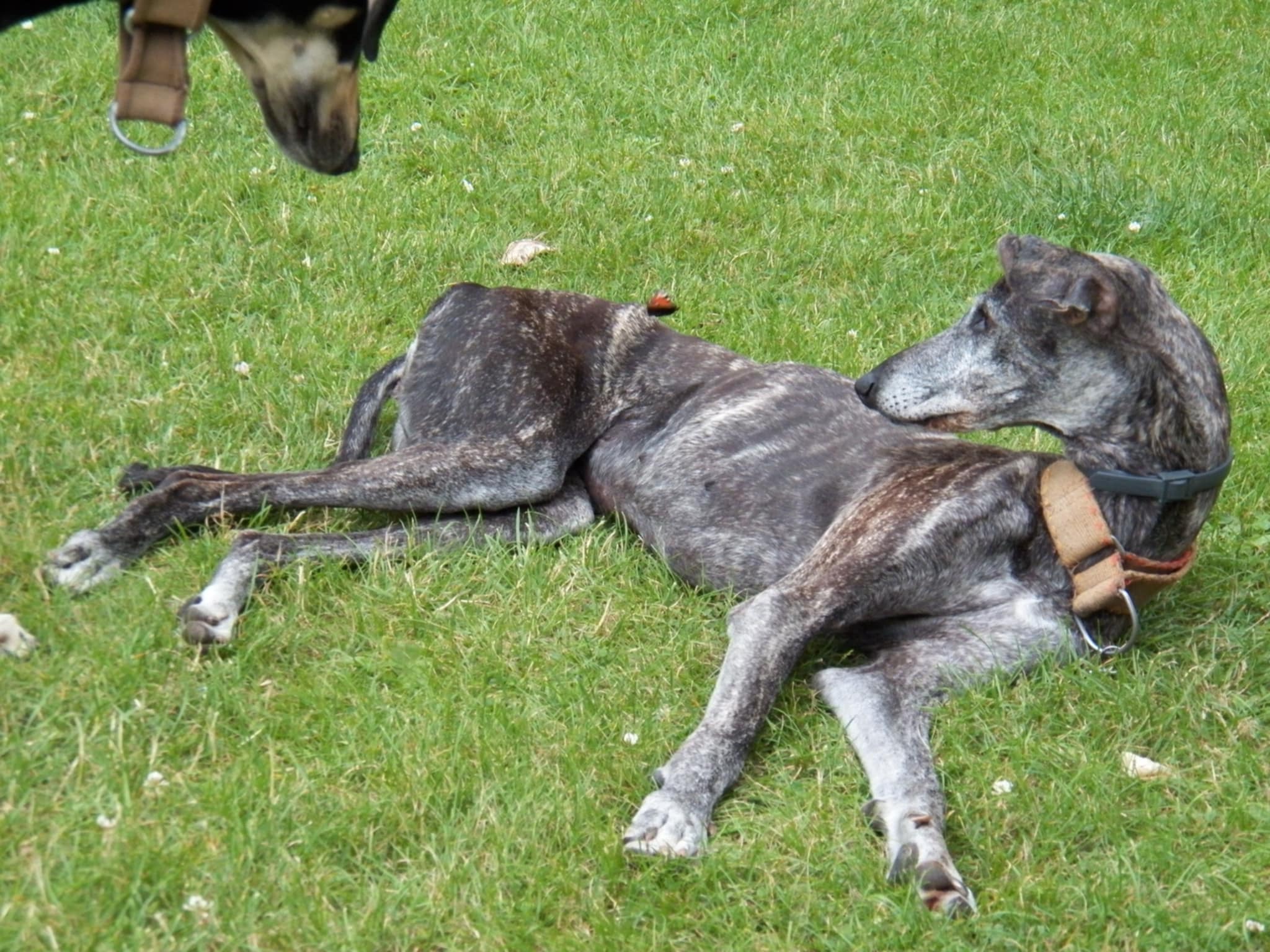 Messenger_creation_9145ADB0-2CDD-4F8C-94A7-0776961FCD98