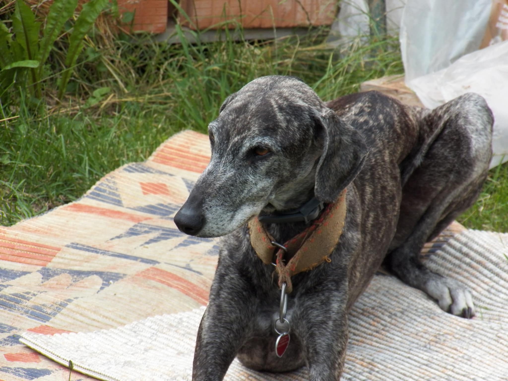 Messenger_creation_13CFD37A-FF38-471E-9558-8C109632B54C