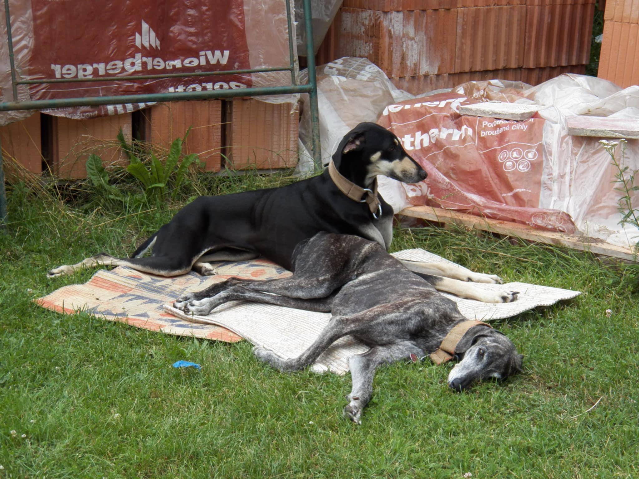 Messenger_creation_02840FF2-395C-41C5-B7C6-473693315D52