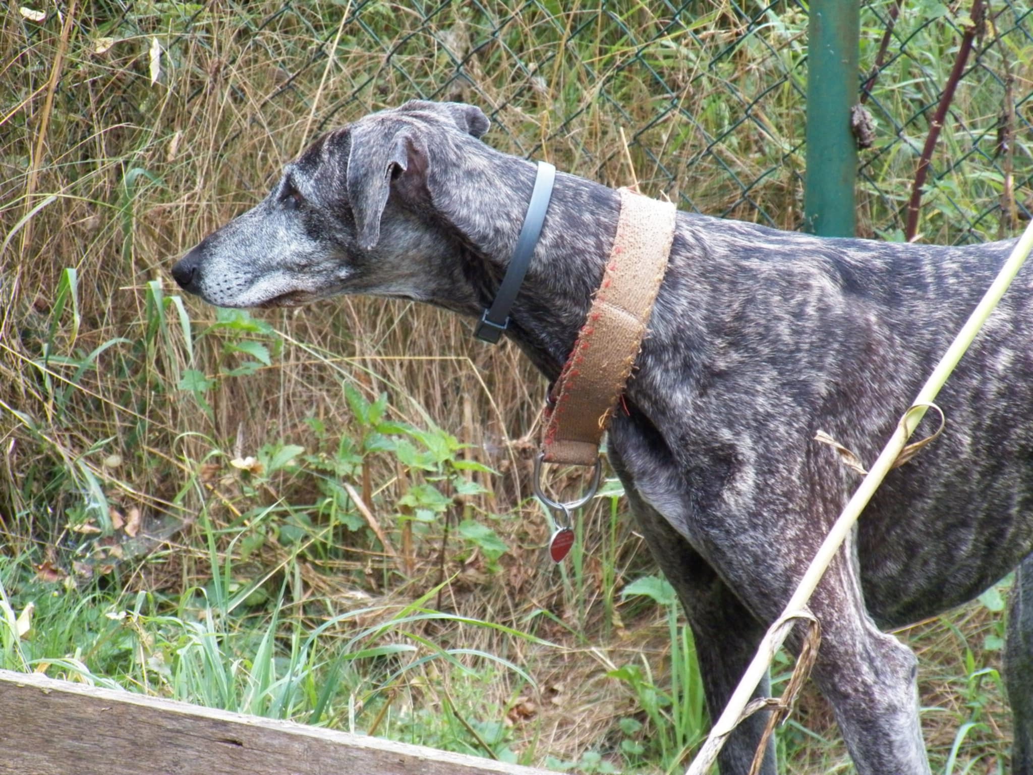 Messenger_creation_2FEE75E7-BD0F-4E7B-A63C-2678D6C04F0A