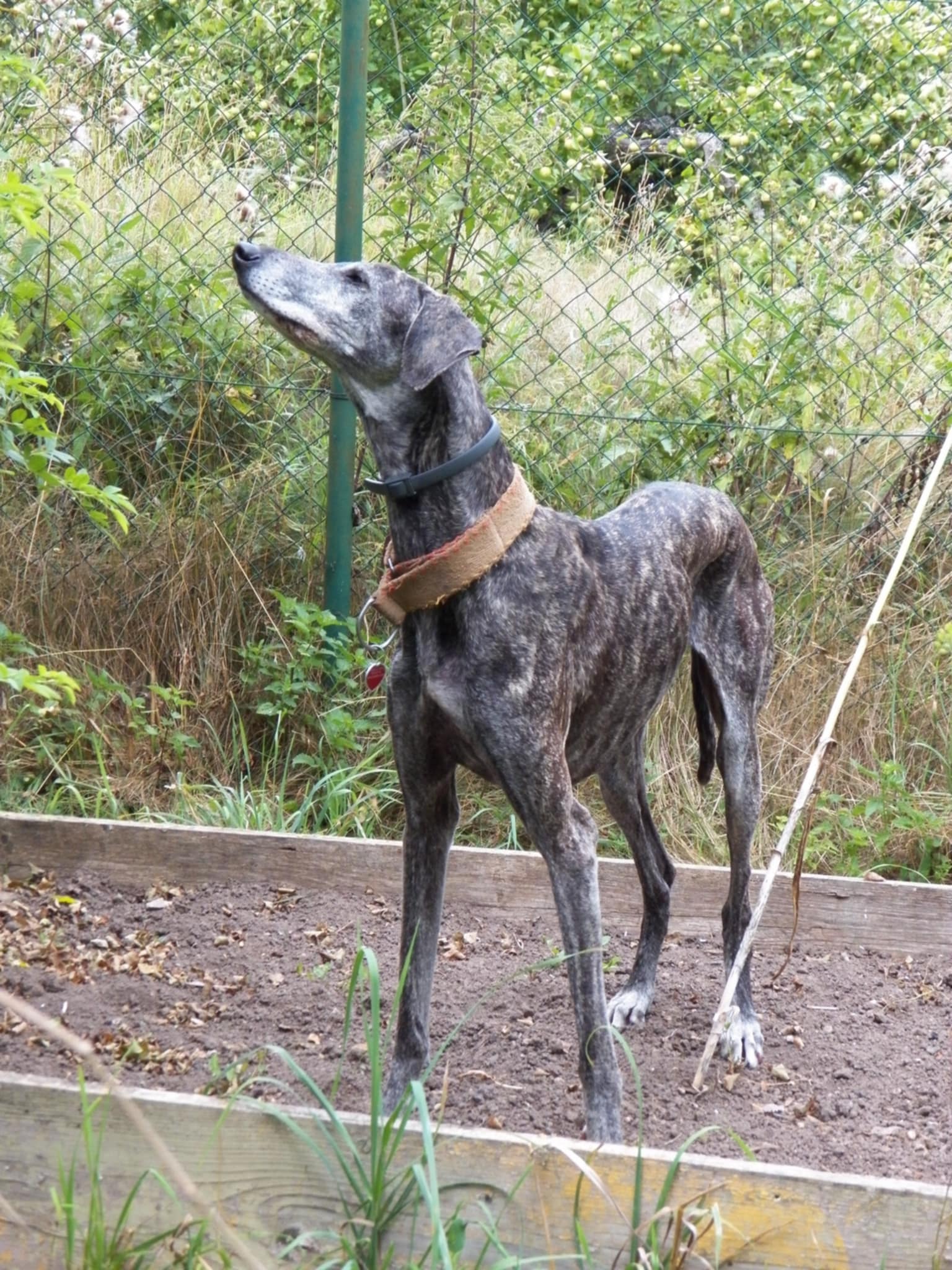 Messenger_creation_AF194017-62A3-4BC3-9E55-963BE34C3E21