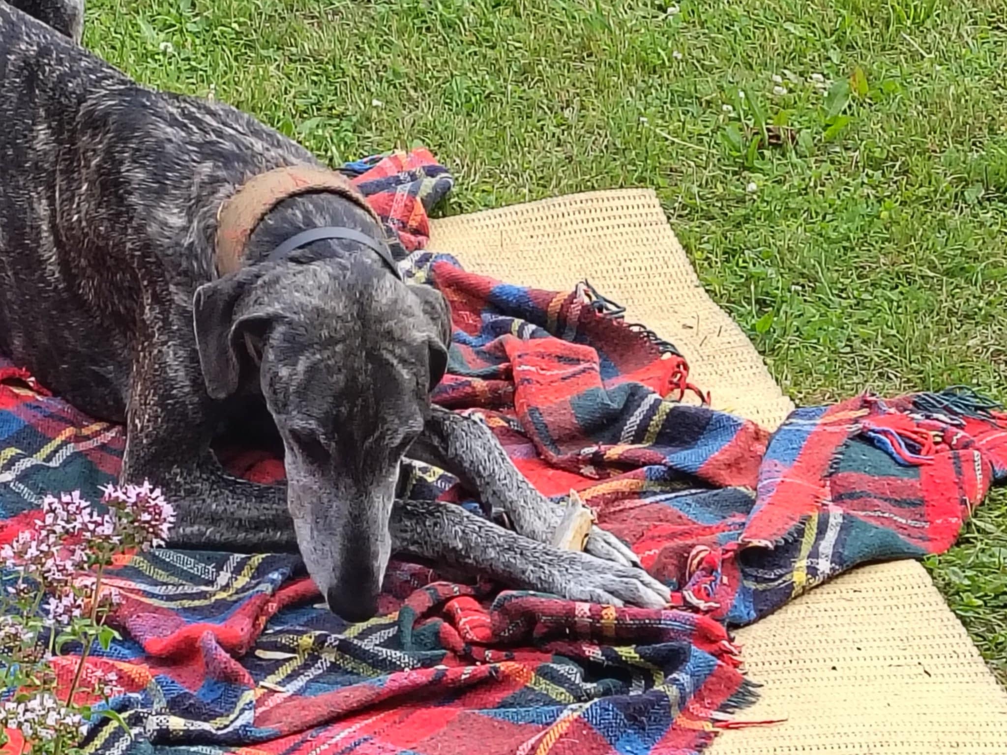 Messenger_creation_FE5060B7-1F95-407E-9888-669637FEEBDD