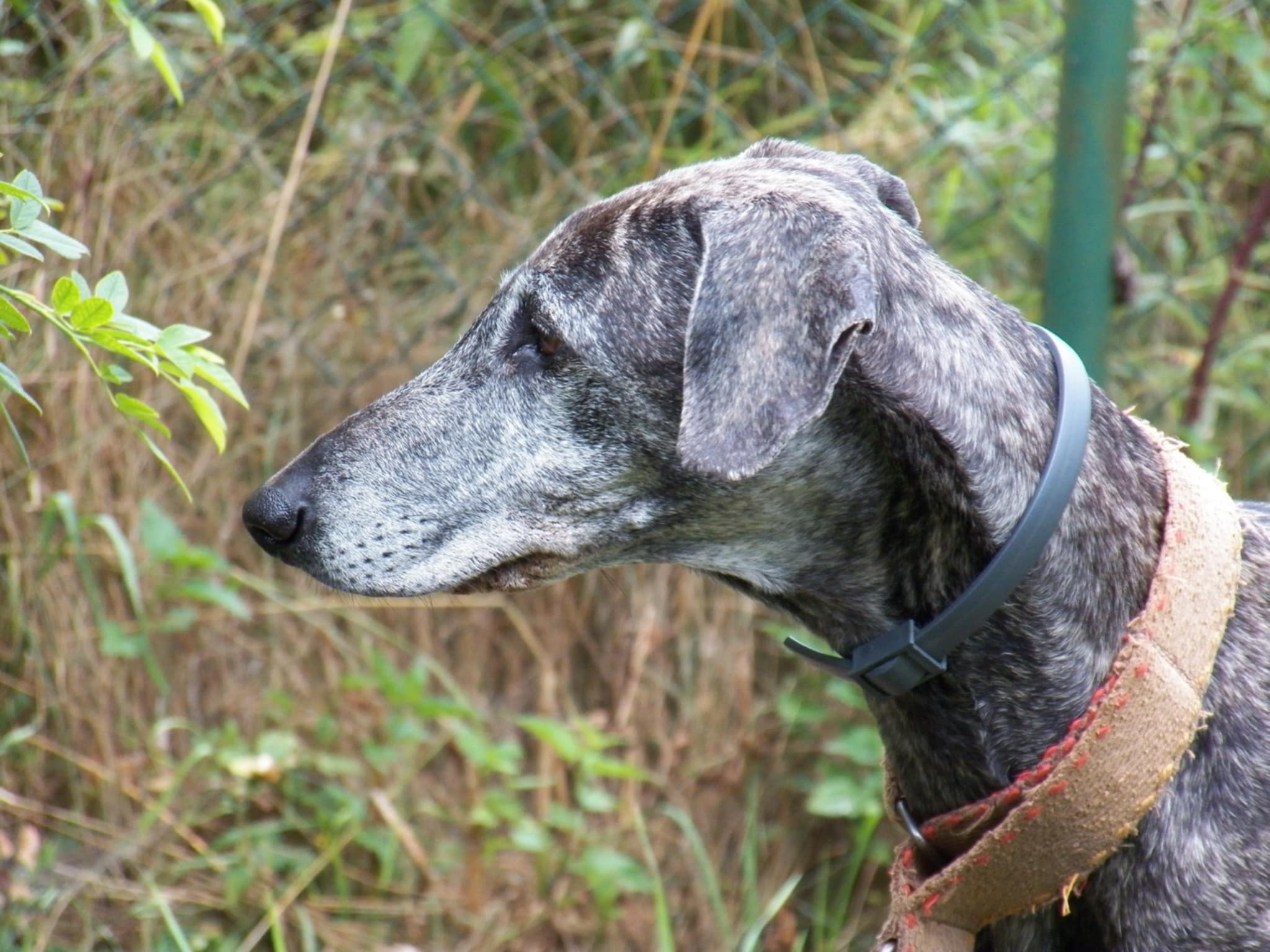 Messenger_creation_B55AA8E0-008A-49AB-988C-A42E3B4F8A0B