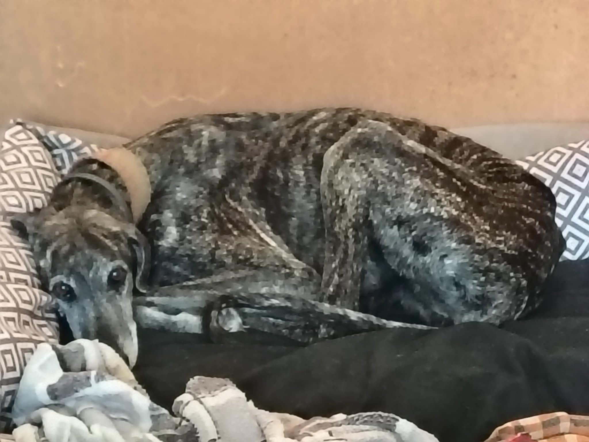 Messenger_creation_8FBD5709-DD51-4257-8D25-8564129BE24C