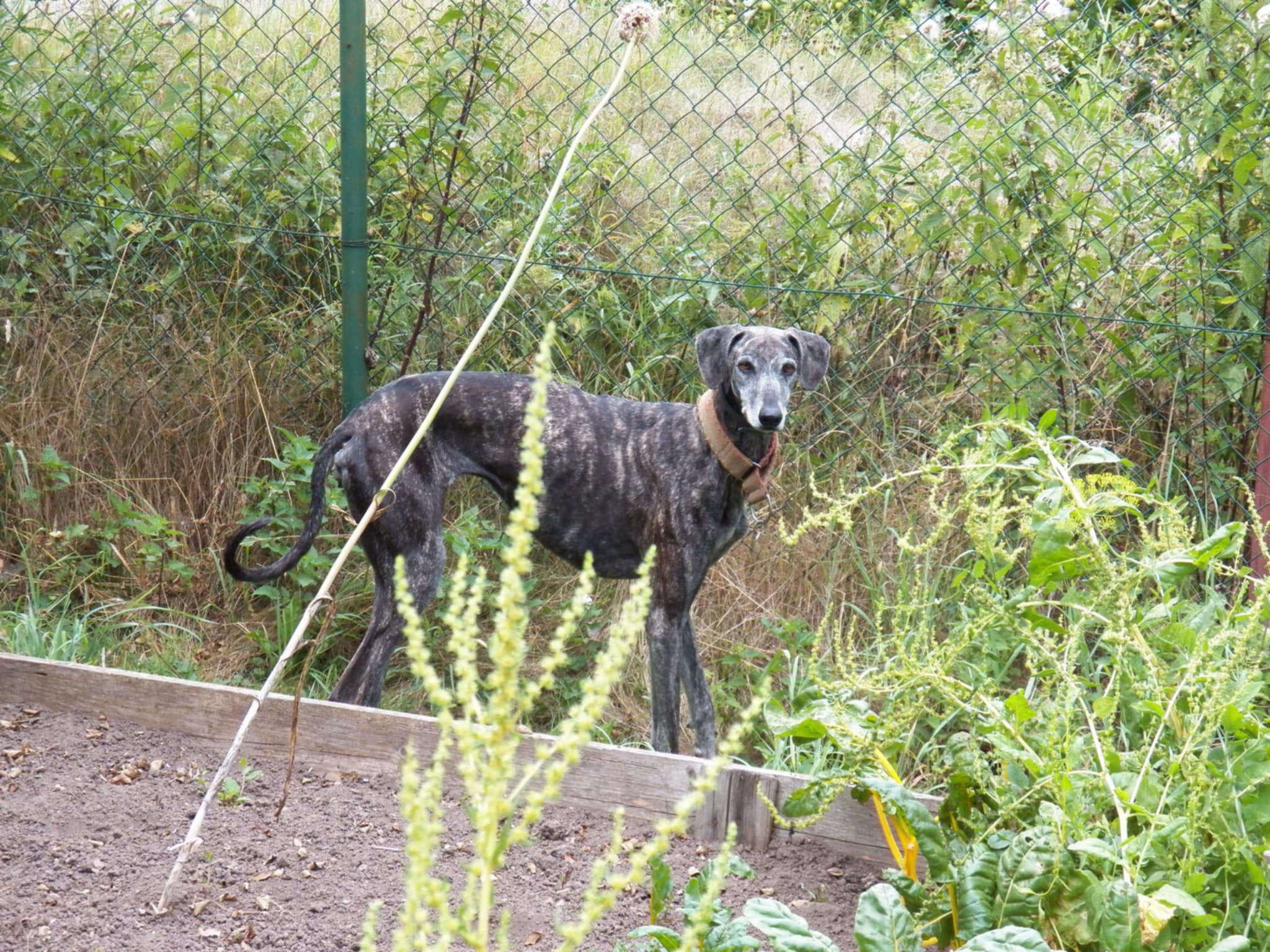 Messenger_creation_16F0EE80-4289-4C7F-9E04-653DFE87FDDF