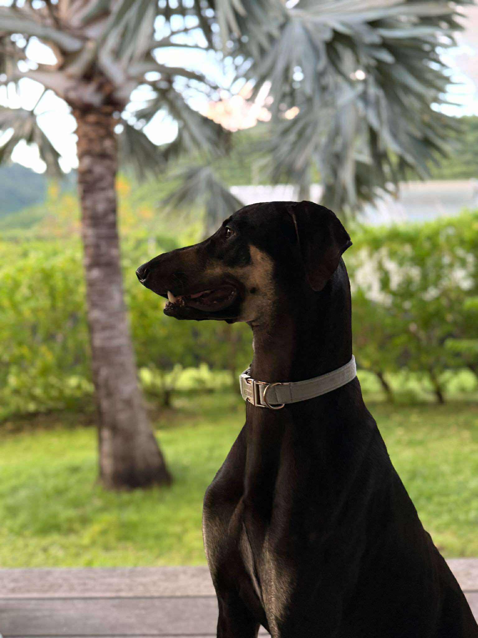 received_3944958465818368