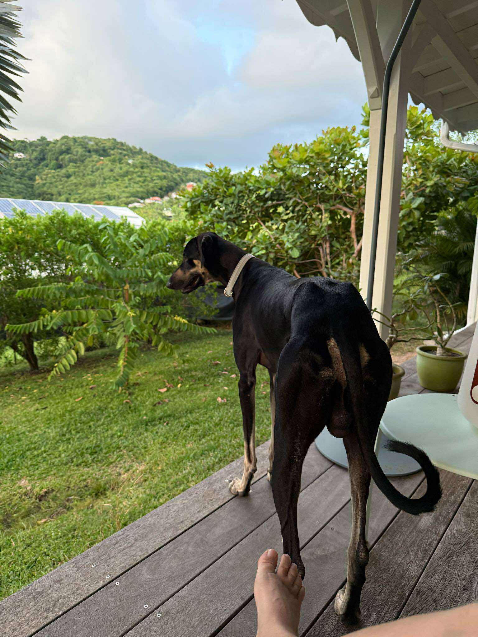 received_1164948549008034