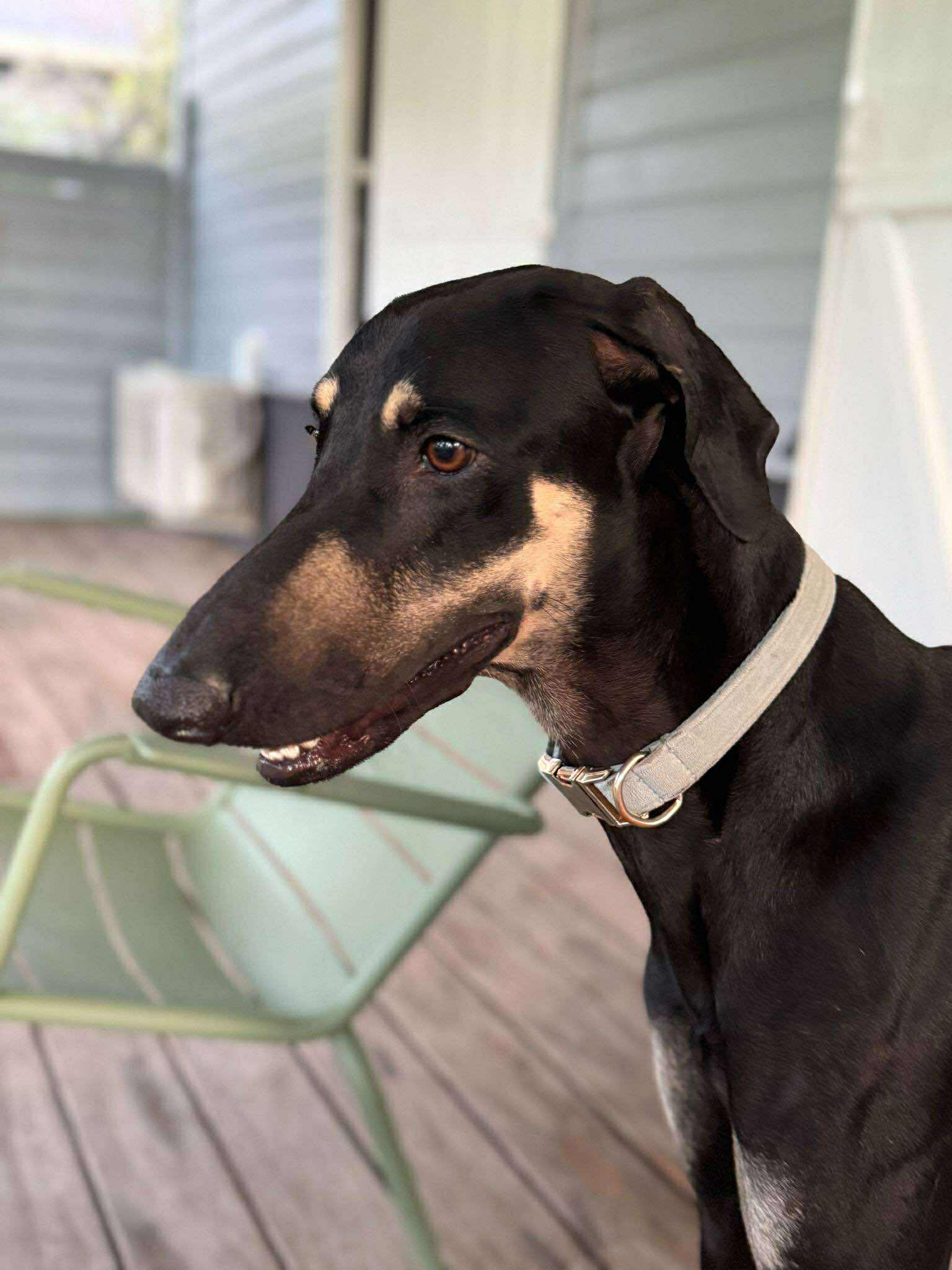 received_24117005354624225