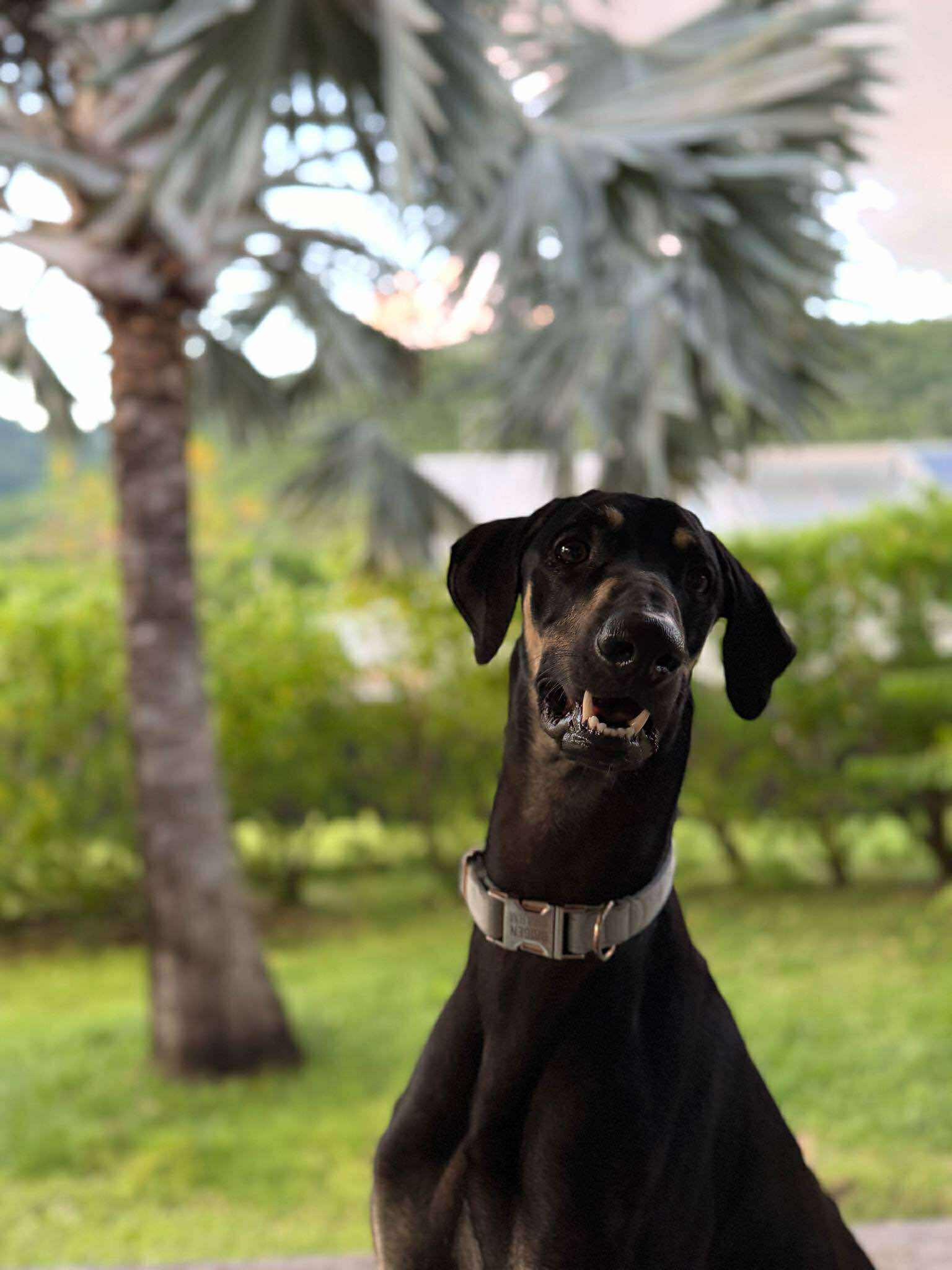 received_1335470681471035