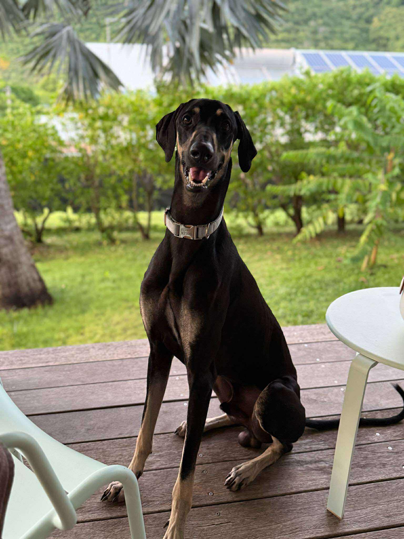 received_24077016648632924